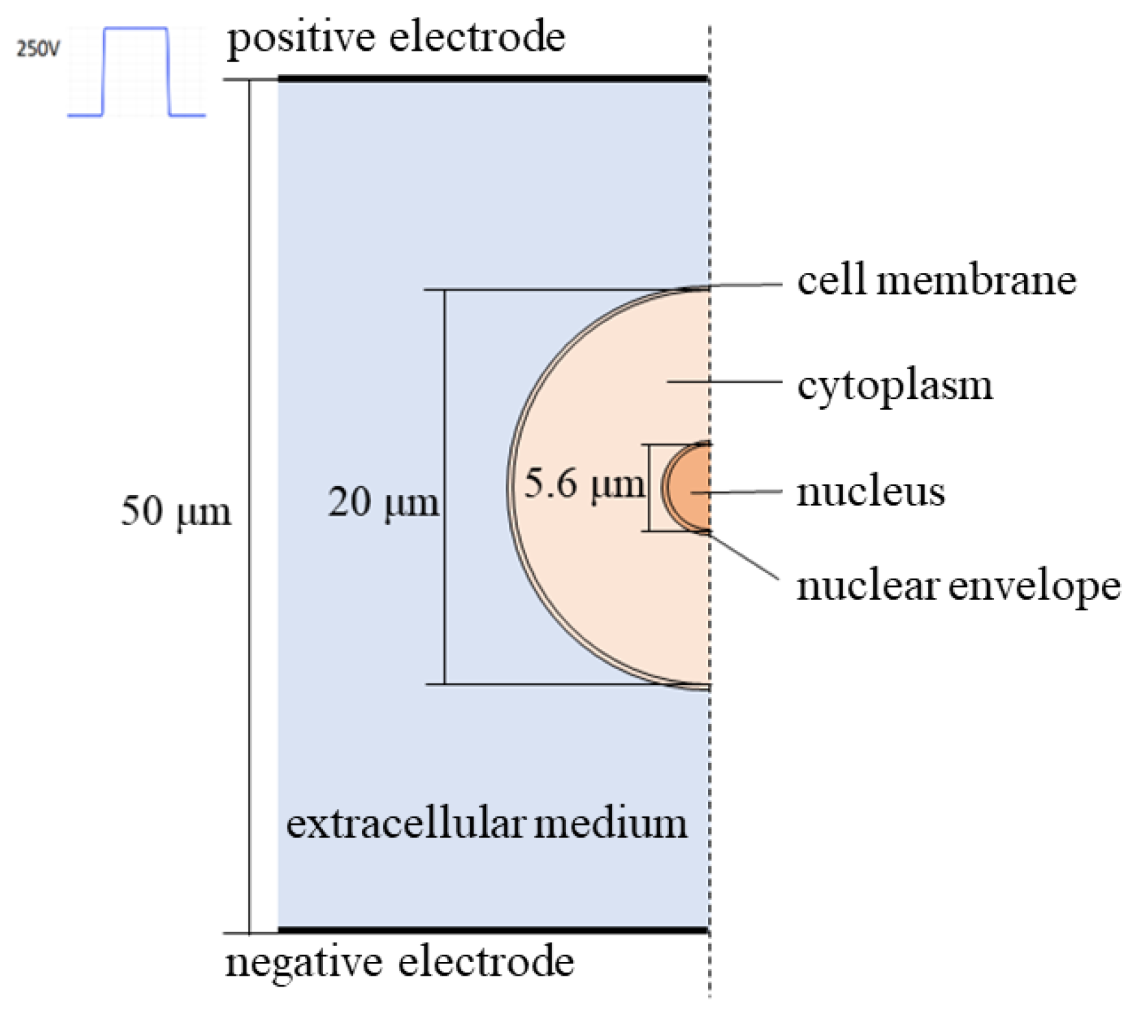 Applsci 13 08142 g001