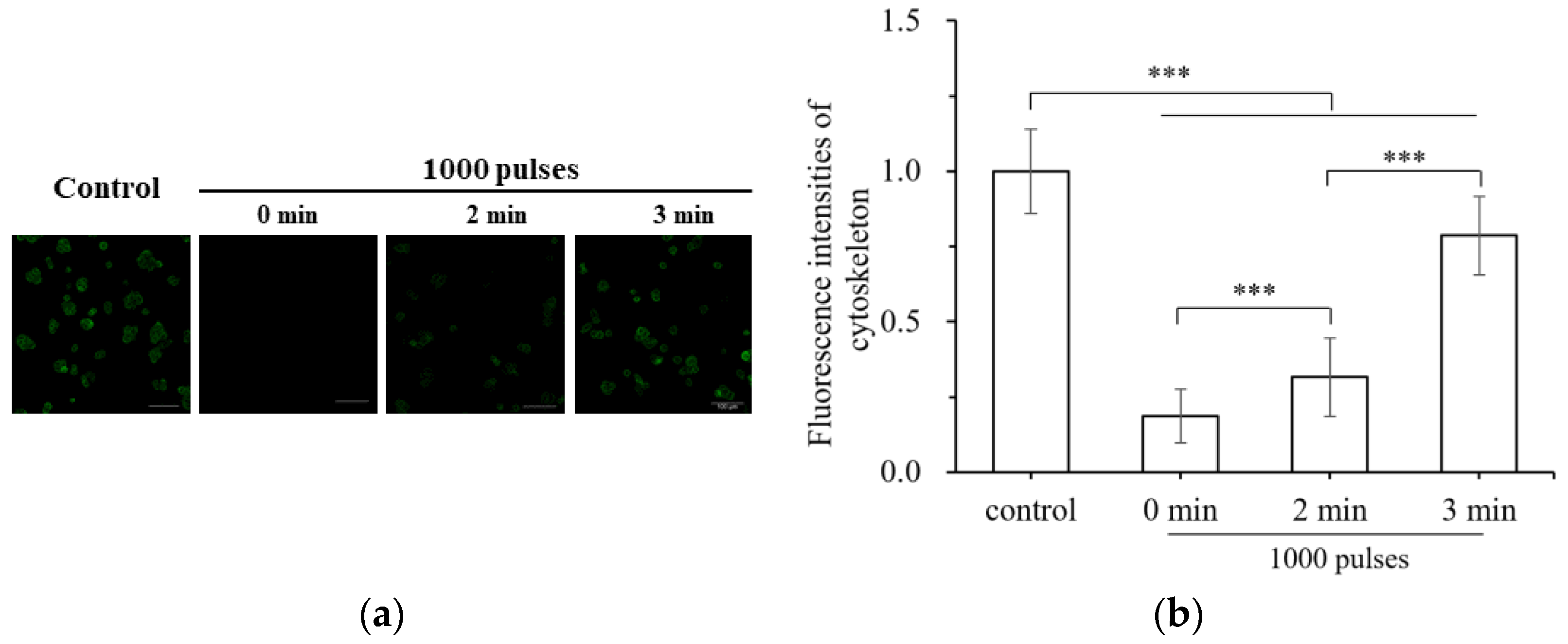 Applsci 13 08142 g006