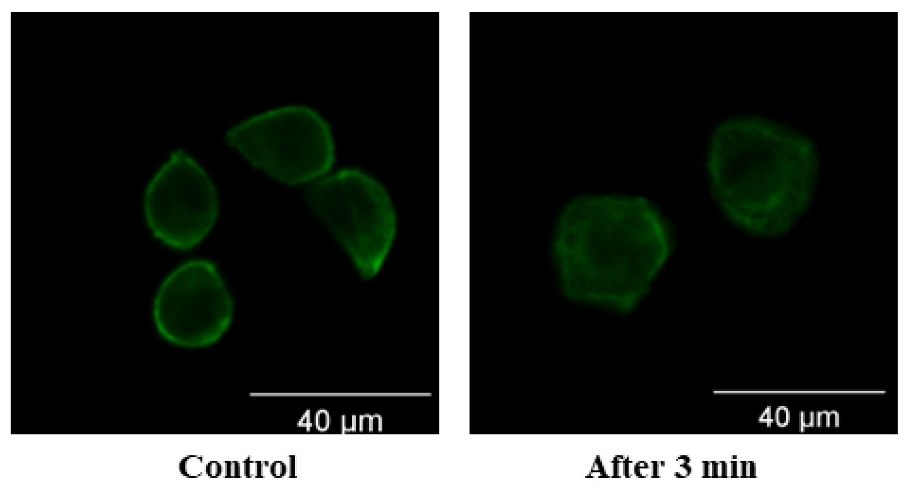 Applsci 13 08142 g007