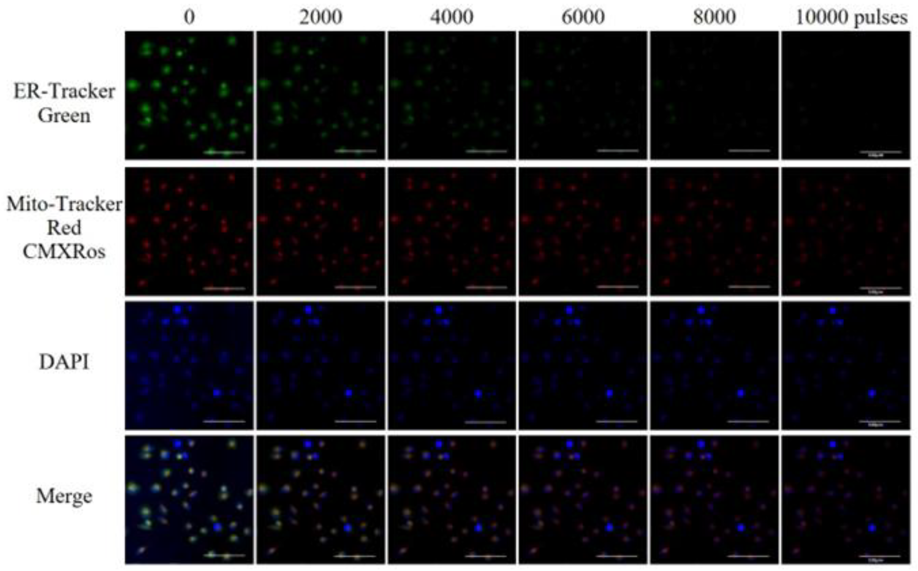 Applsci 13 08142 g008