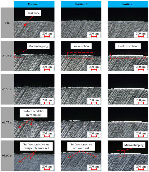 a Ultrasonic straight-edge knives wear form. b Honeycomb composite