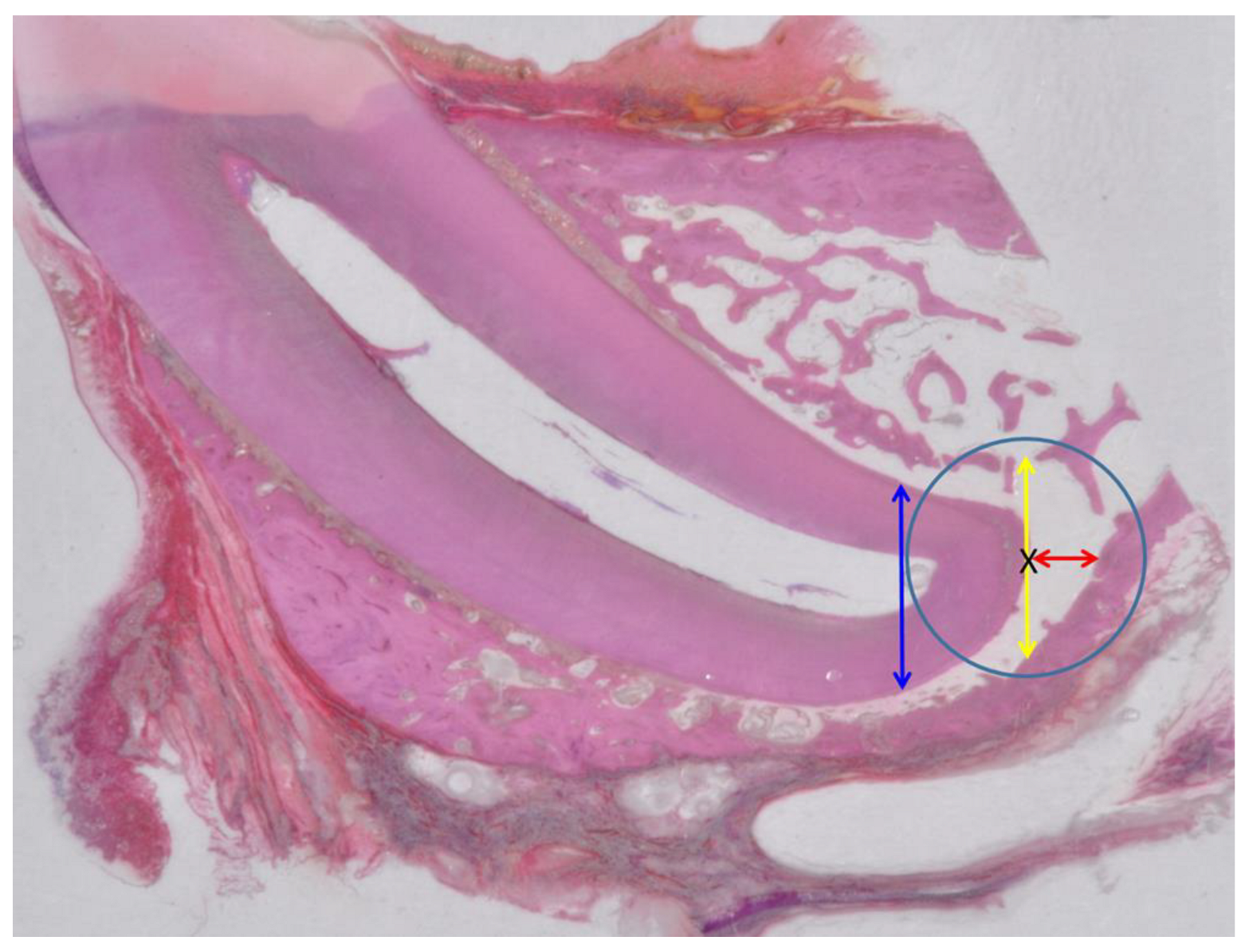 Applsci 13 08228 g003 Applsci 13 08228 g003