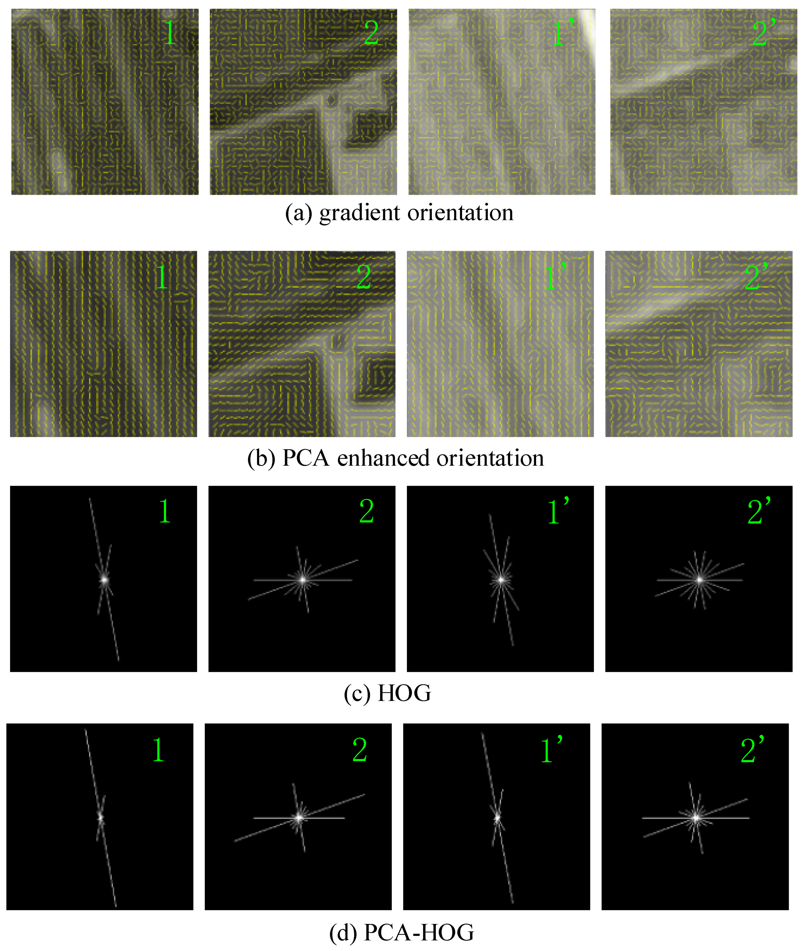 Applsci 13 08238 g003 Applsci 13 08238 g003