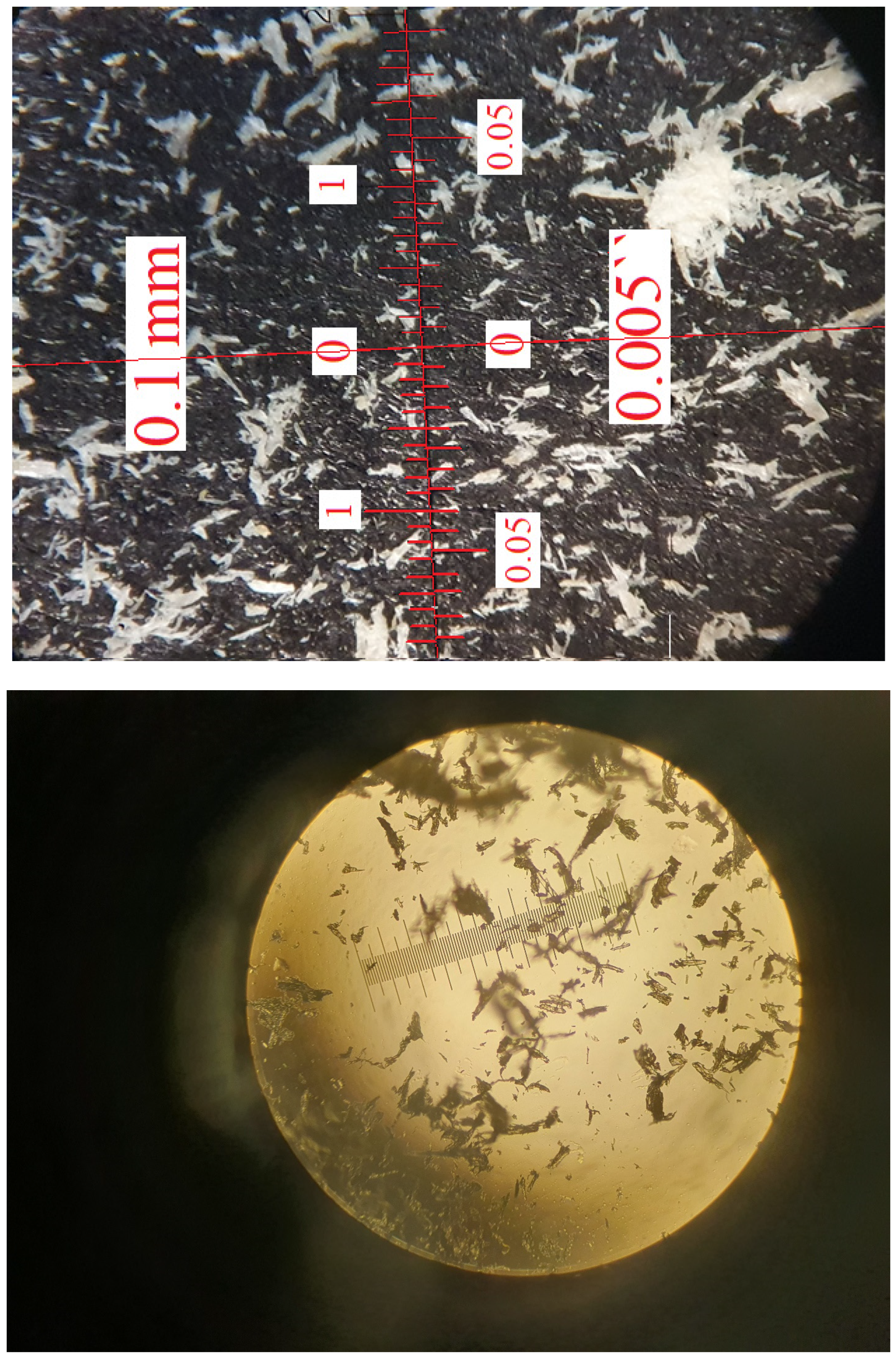 Applsci 13 08258 g001 Applsci 13 08258 g001