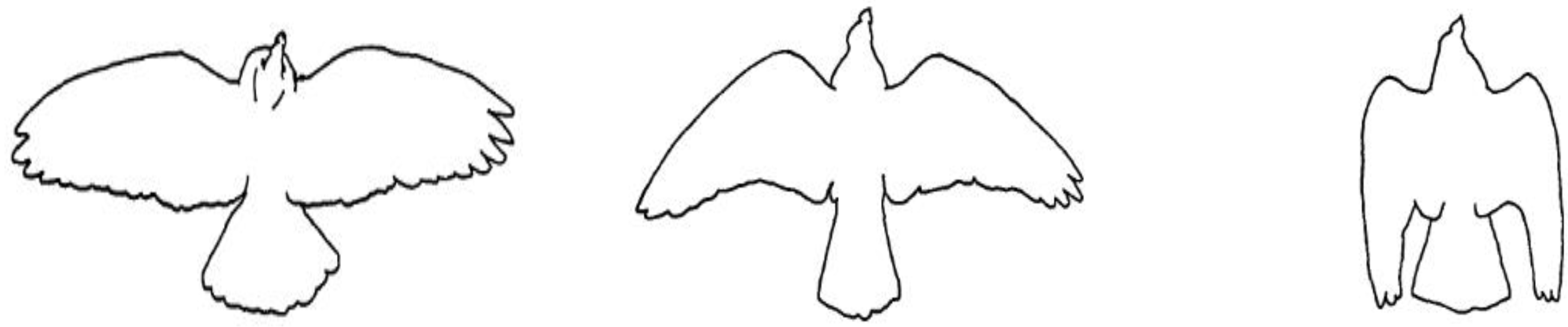 Applsci 13 08345 g005 Applsci 13 08345 g005