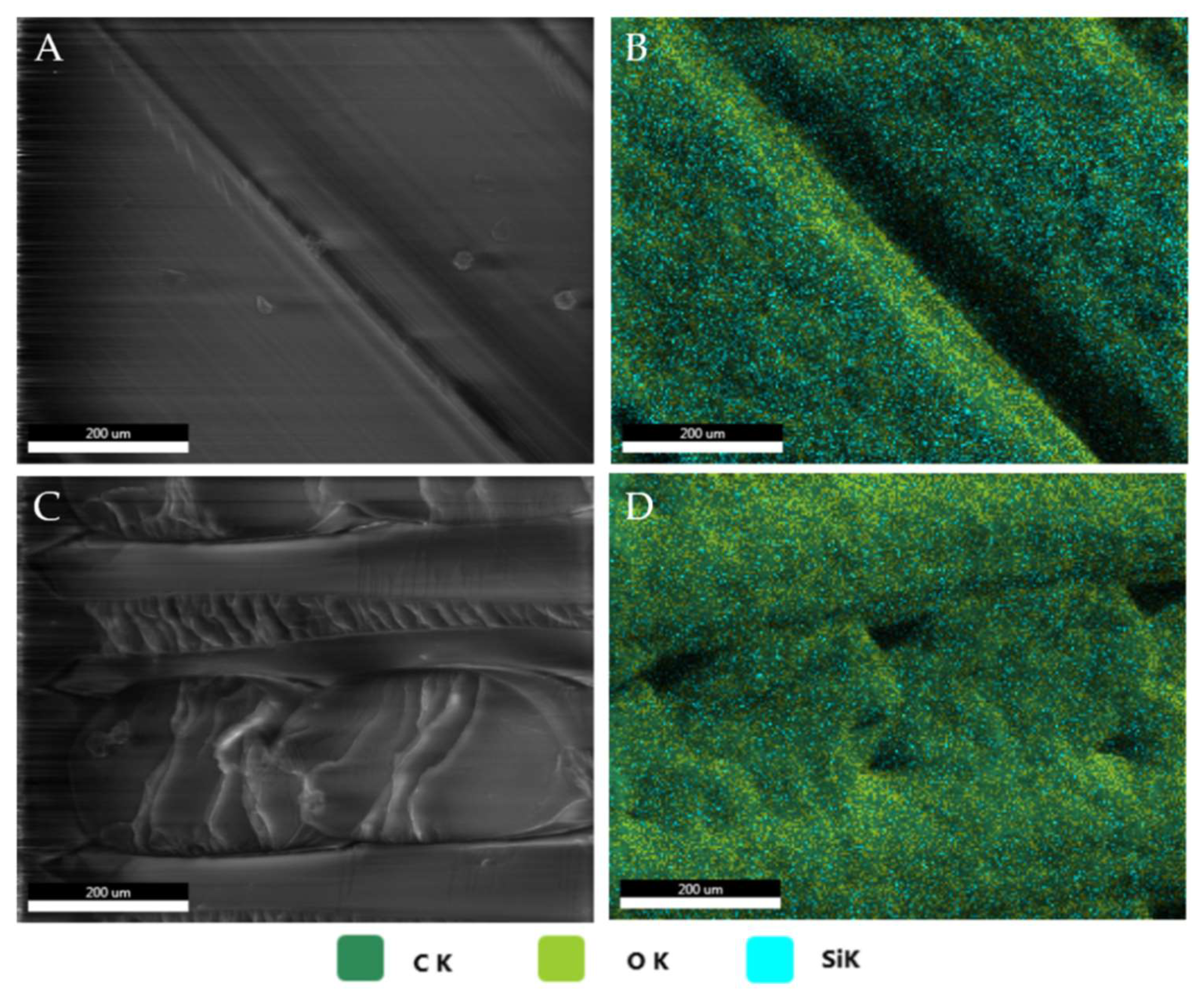 Applsci 13 08462 g005