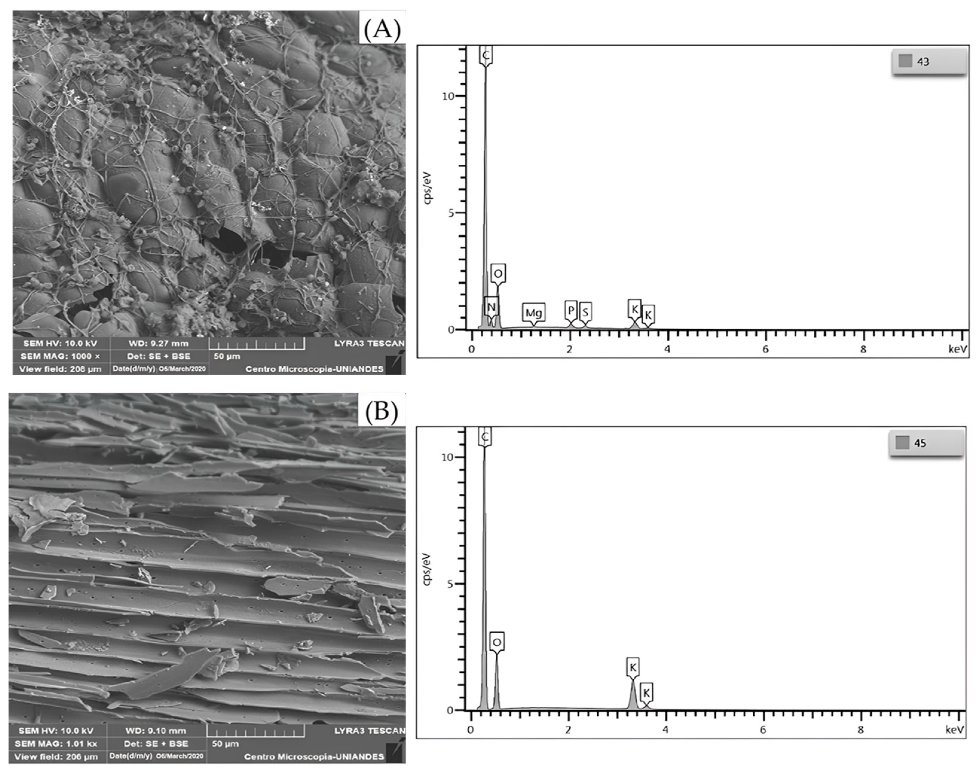Applsci 13 08481 g002 Applsci 13 08481 g002