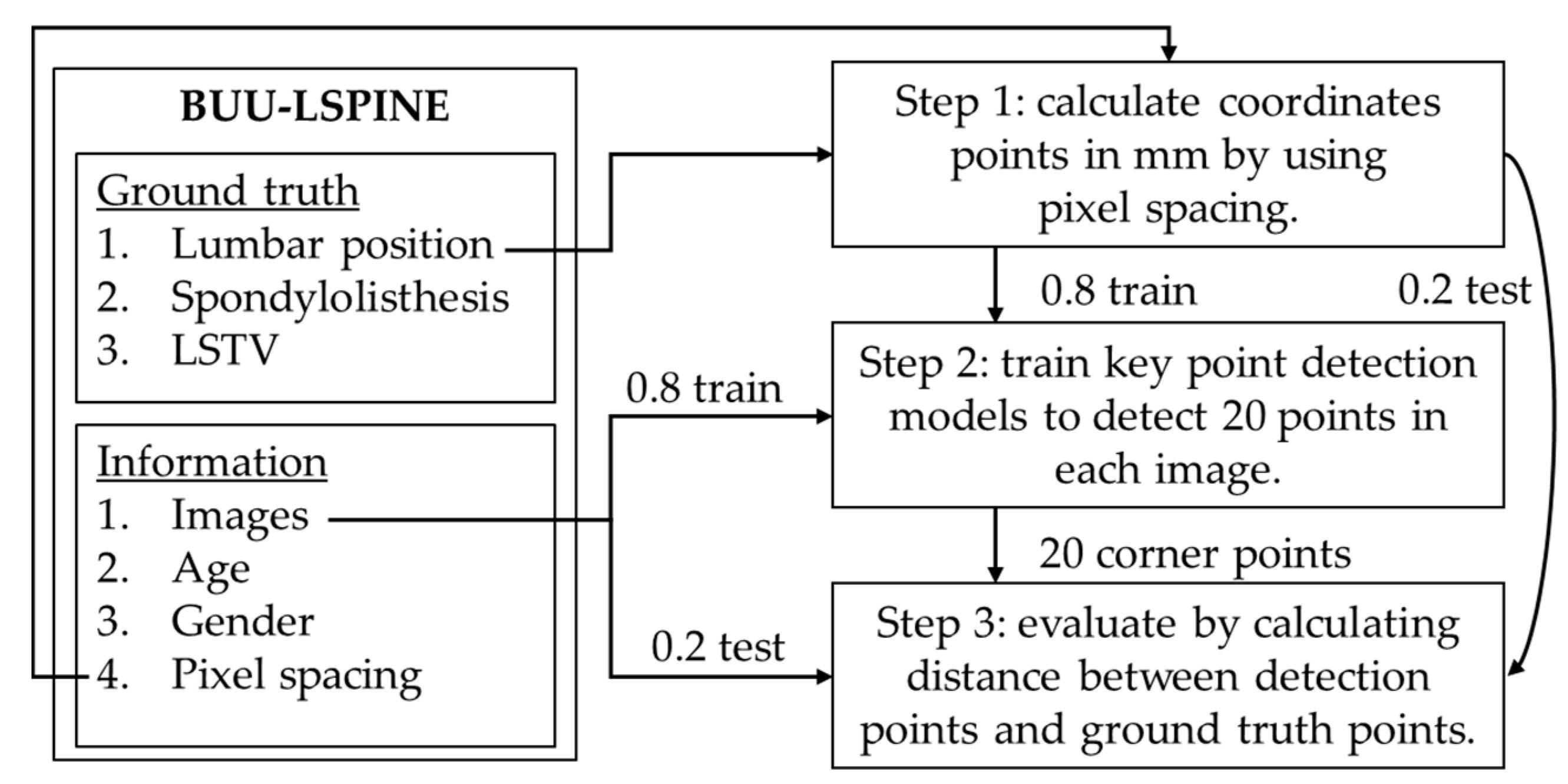 Applsci 13 08646 g008