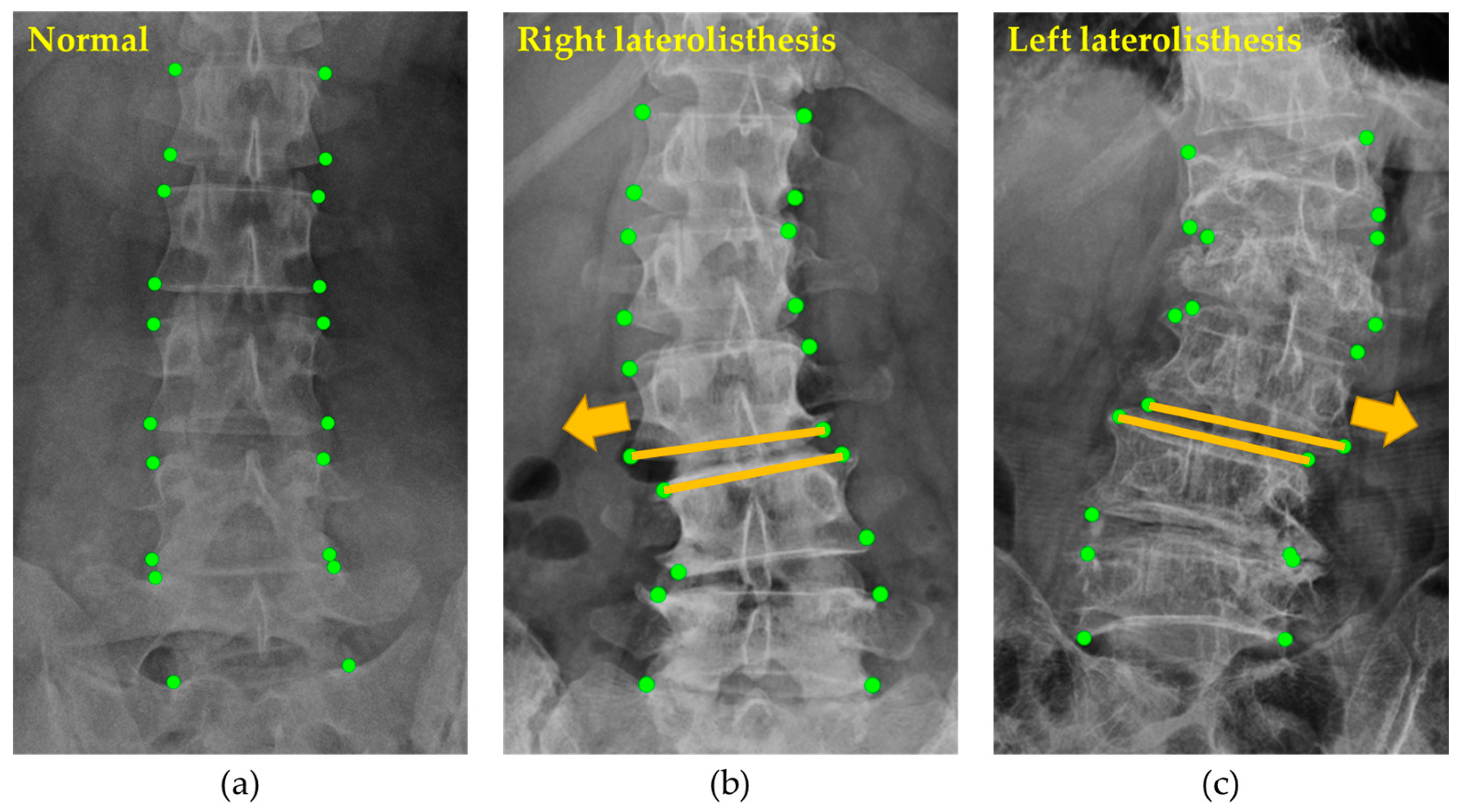 Applsci 13 08646 g017