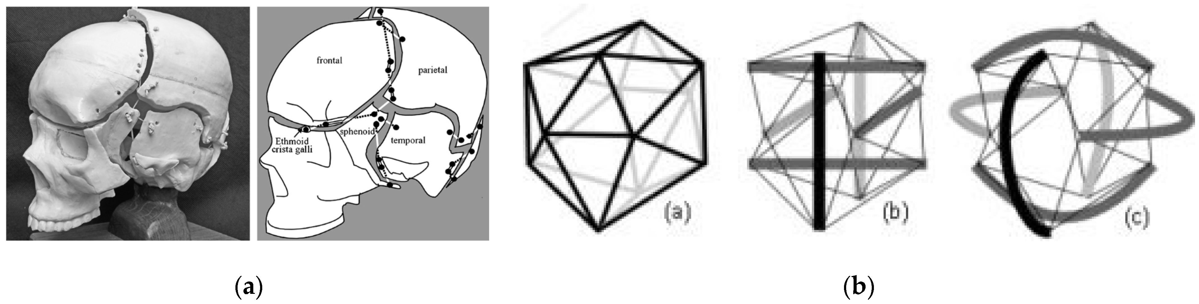 Applsci 13 08669 g037 Applsci 13 08669 g037