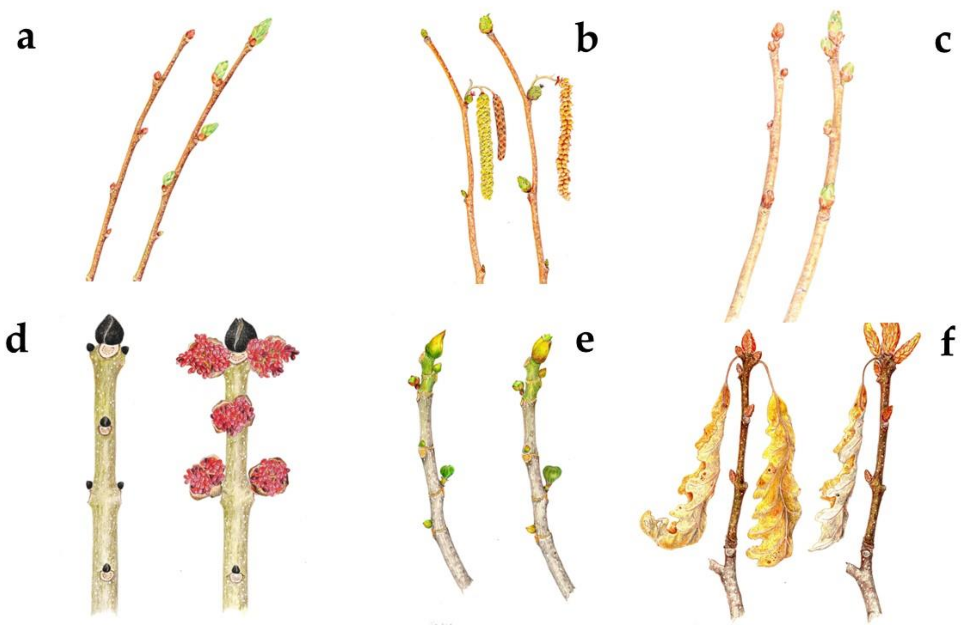 Applsci 13 08679 g002