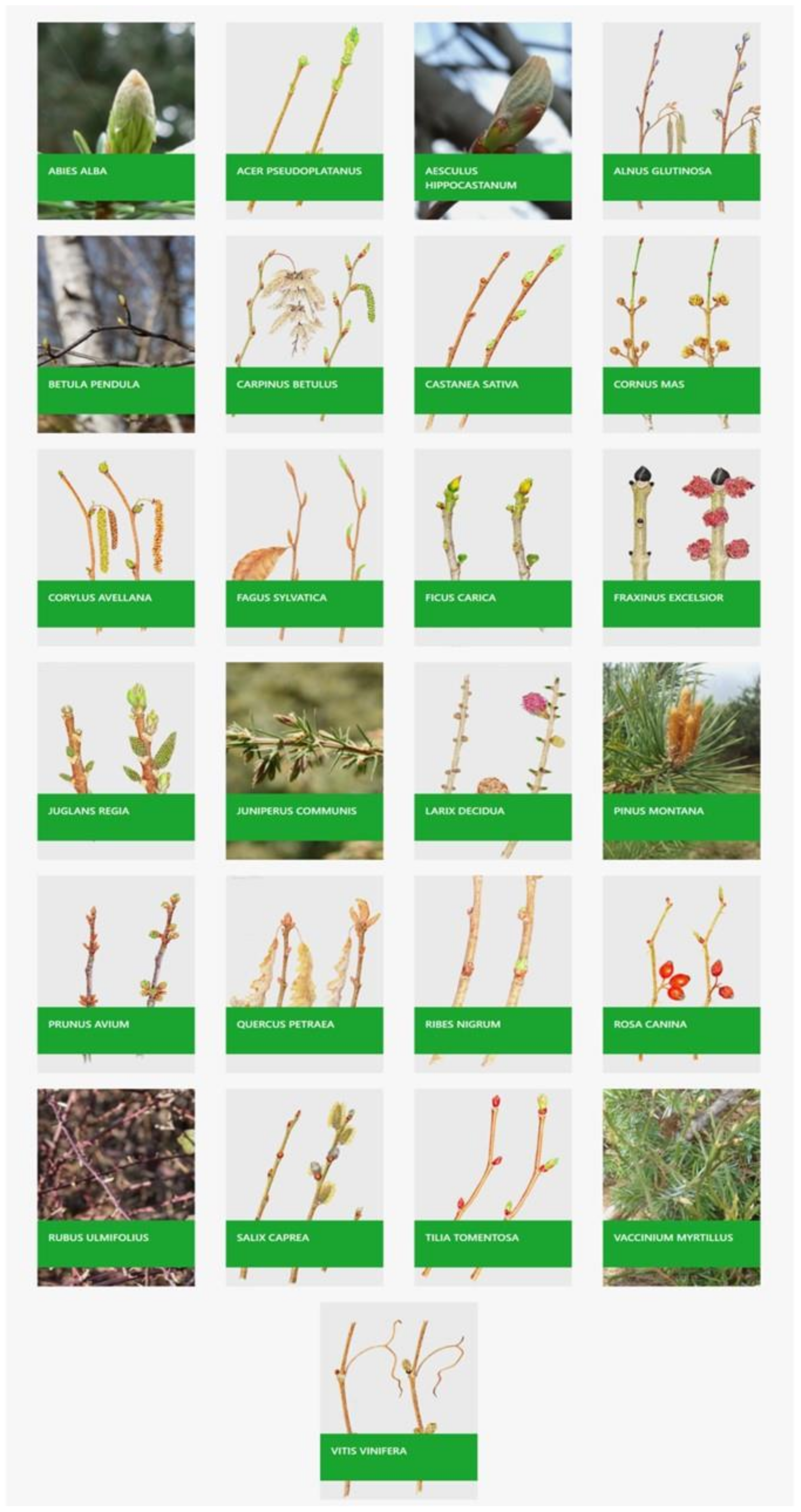 Applsci 13 08679 g004