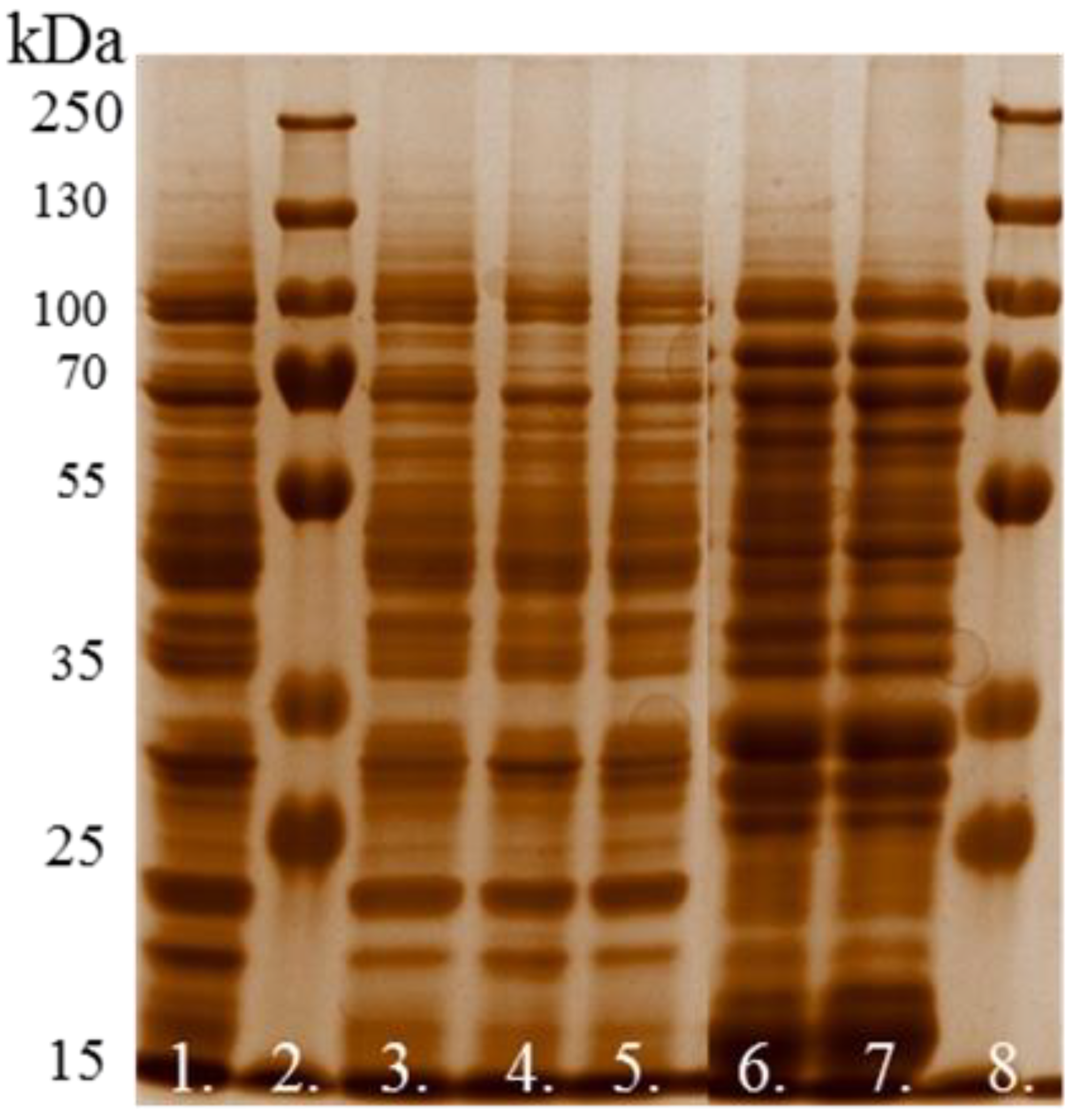 Applsci 13 08724 g006 Applsci 13 08724 g006