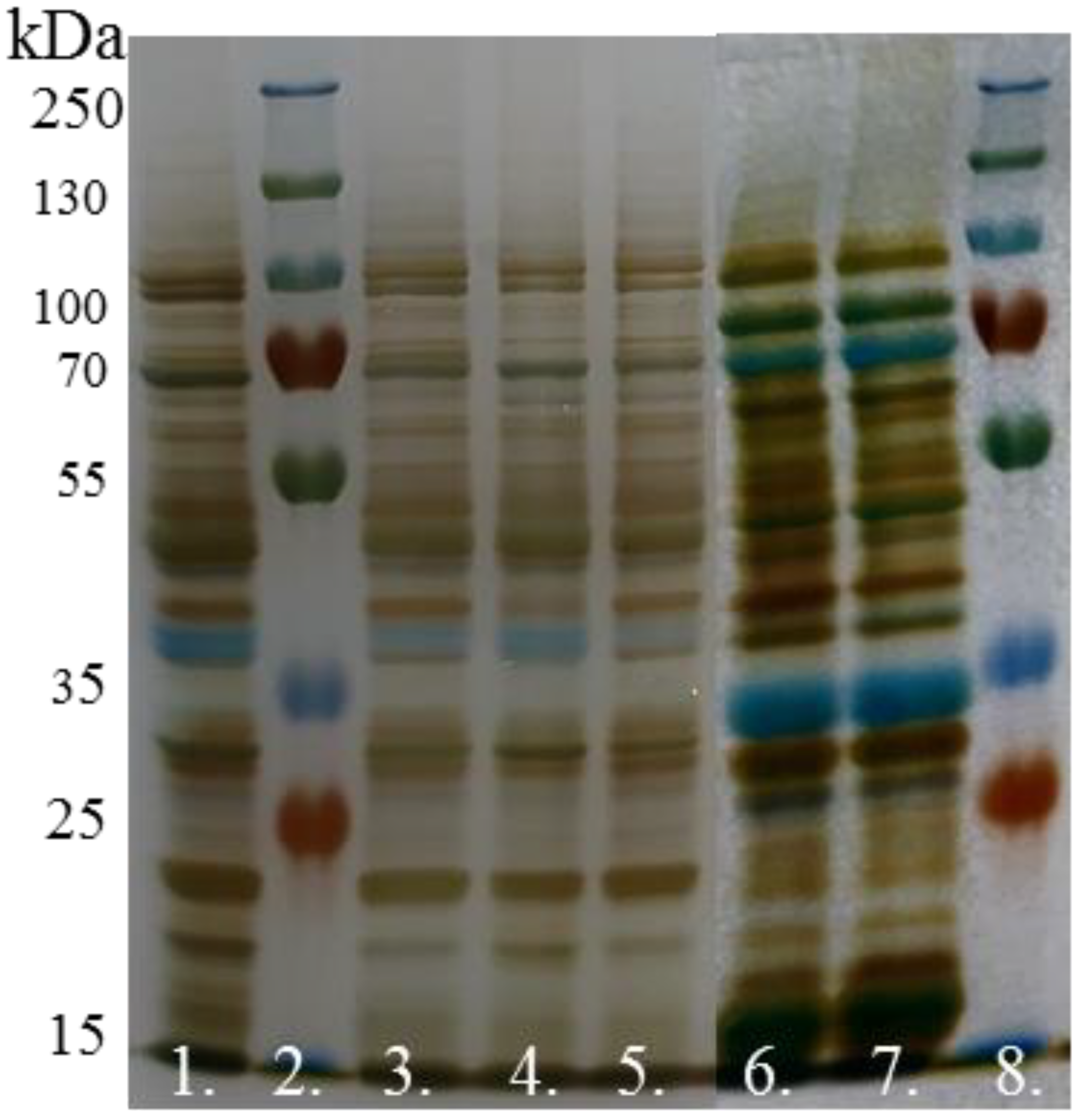 Applsci 13 08724 g011 Applsci 13 08724 g011