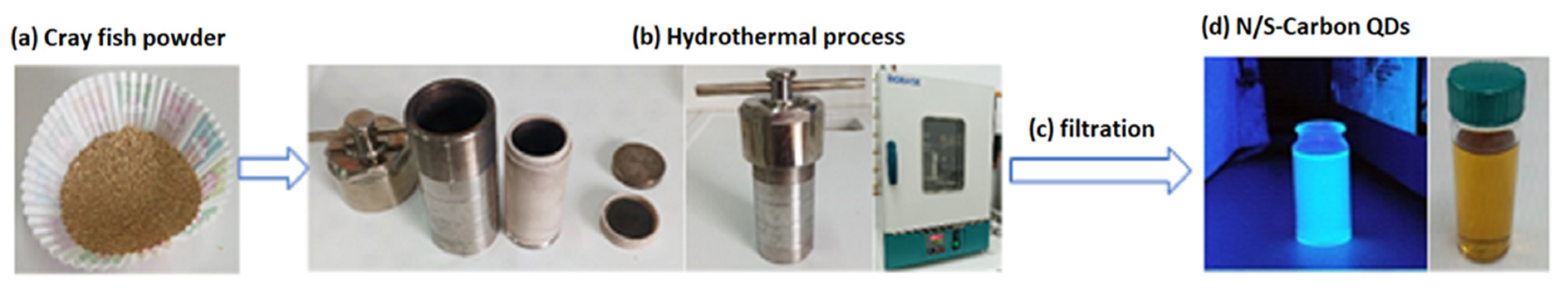 Applsci 13 08730 g001