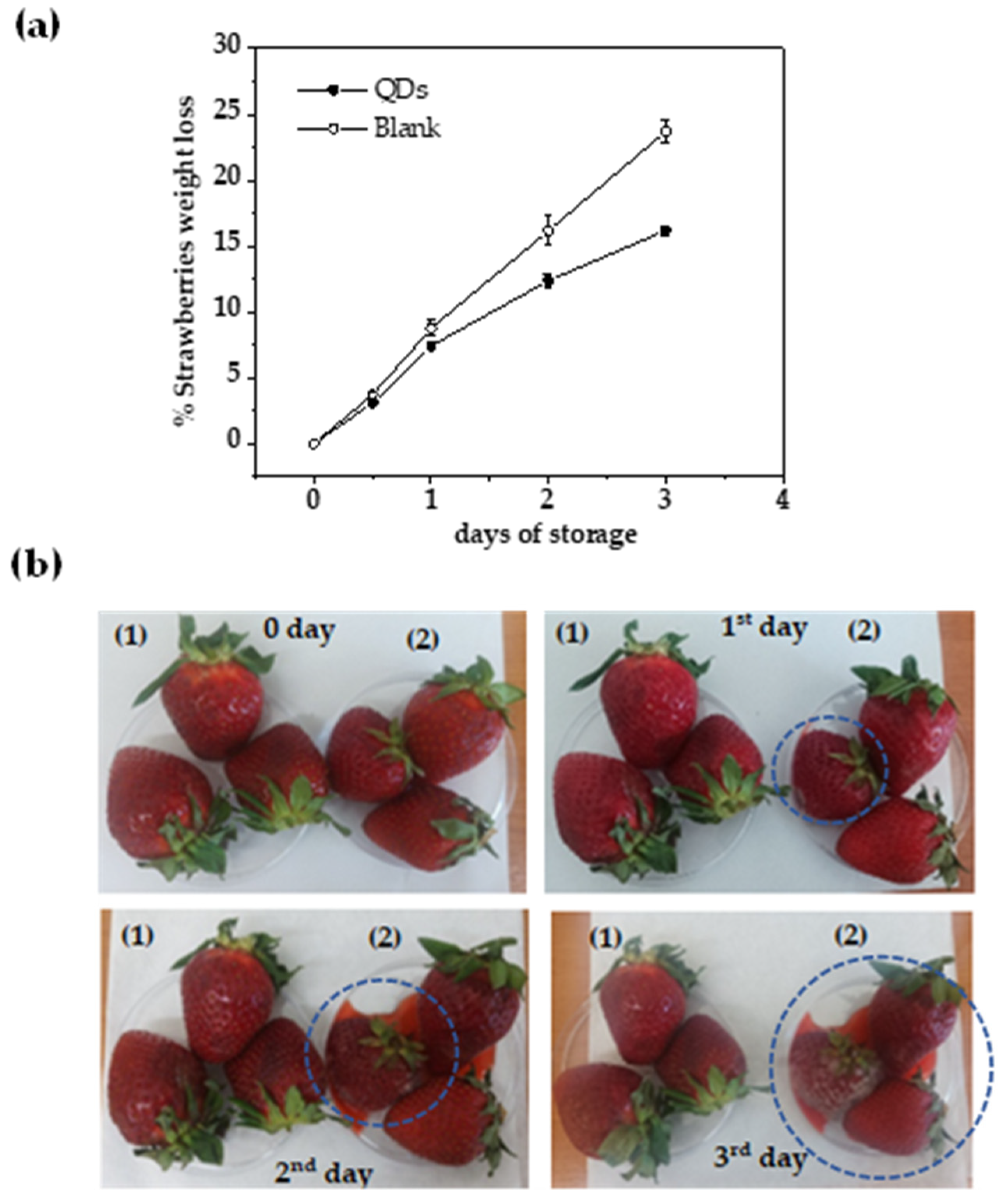Applsci 13 08730 g012