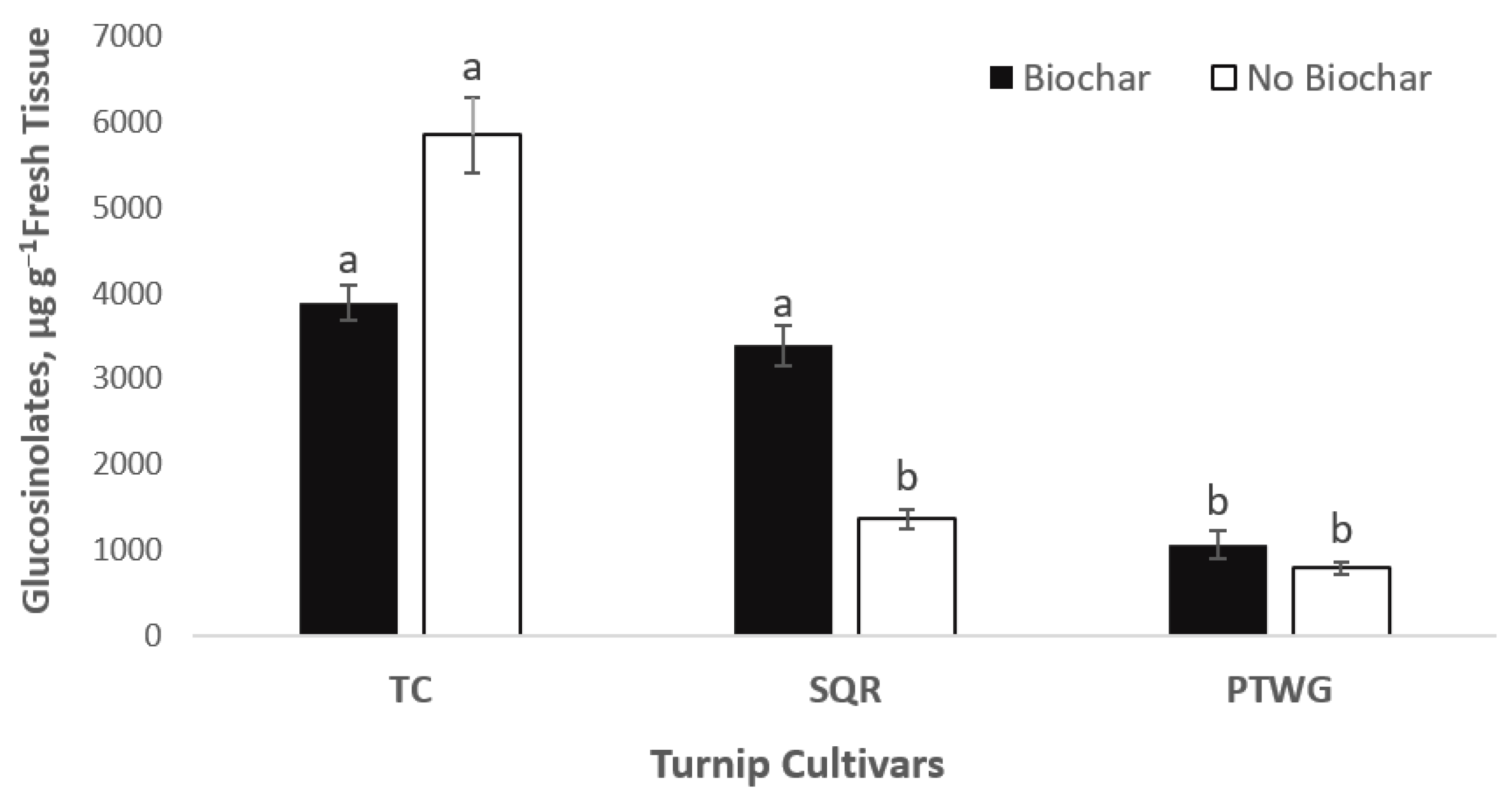 Applsci 13 08801 g004 Applsci 13 08801 g004