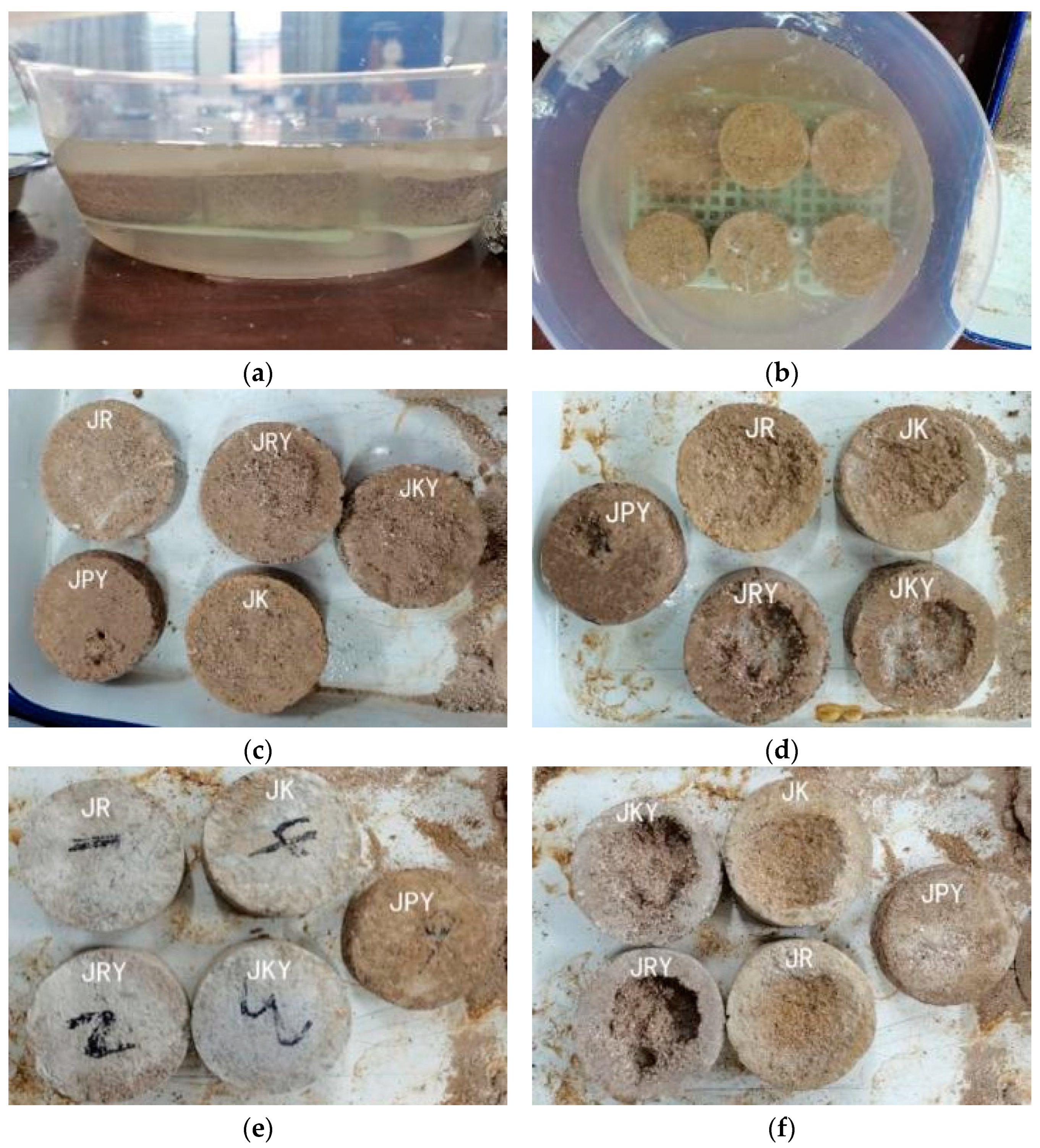 Applsci 13 08863 g006