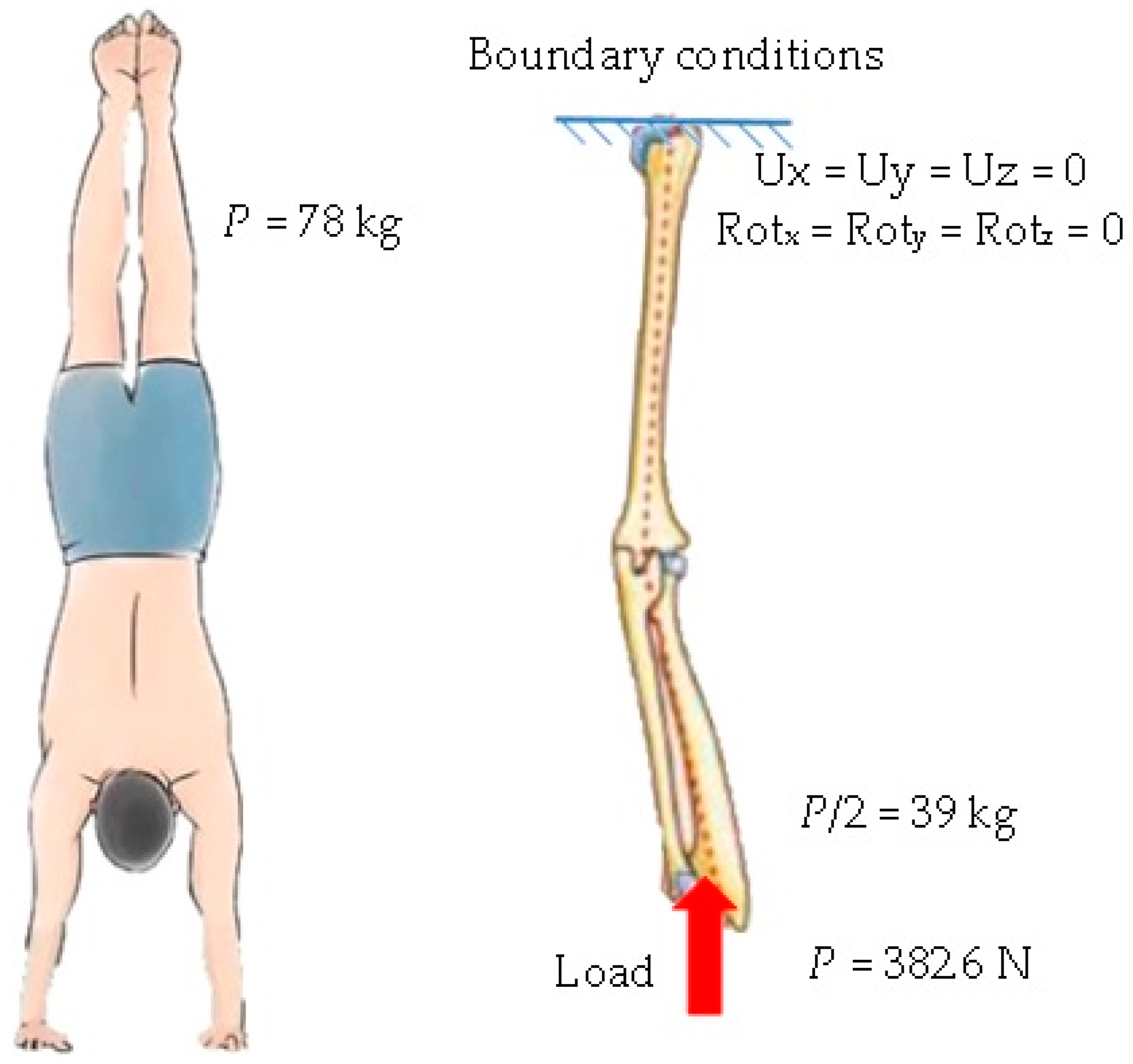 Applsci 13 08903 g007 Applsci 13 08903 g007