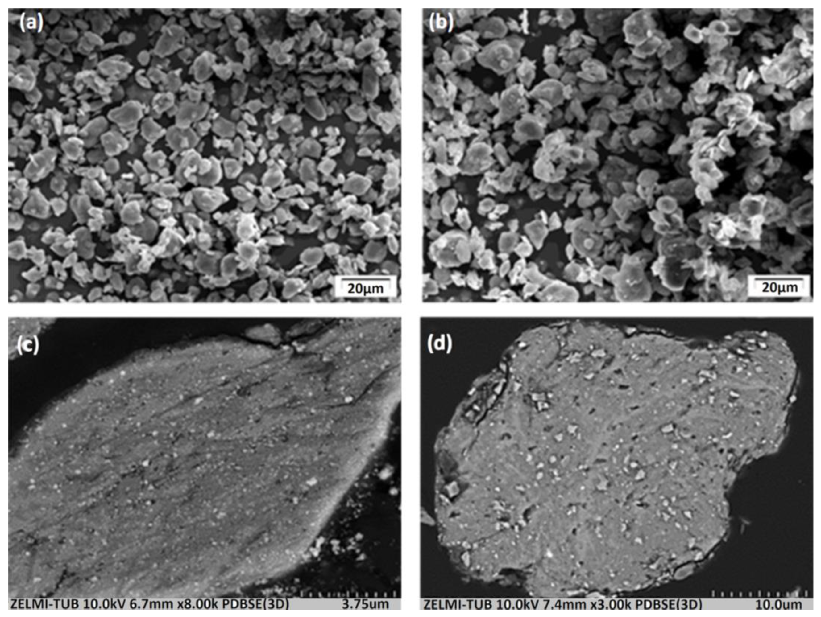 Applsci 13 08909 g006