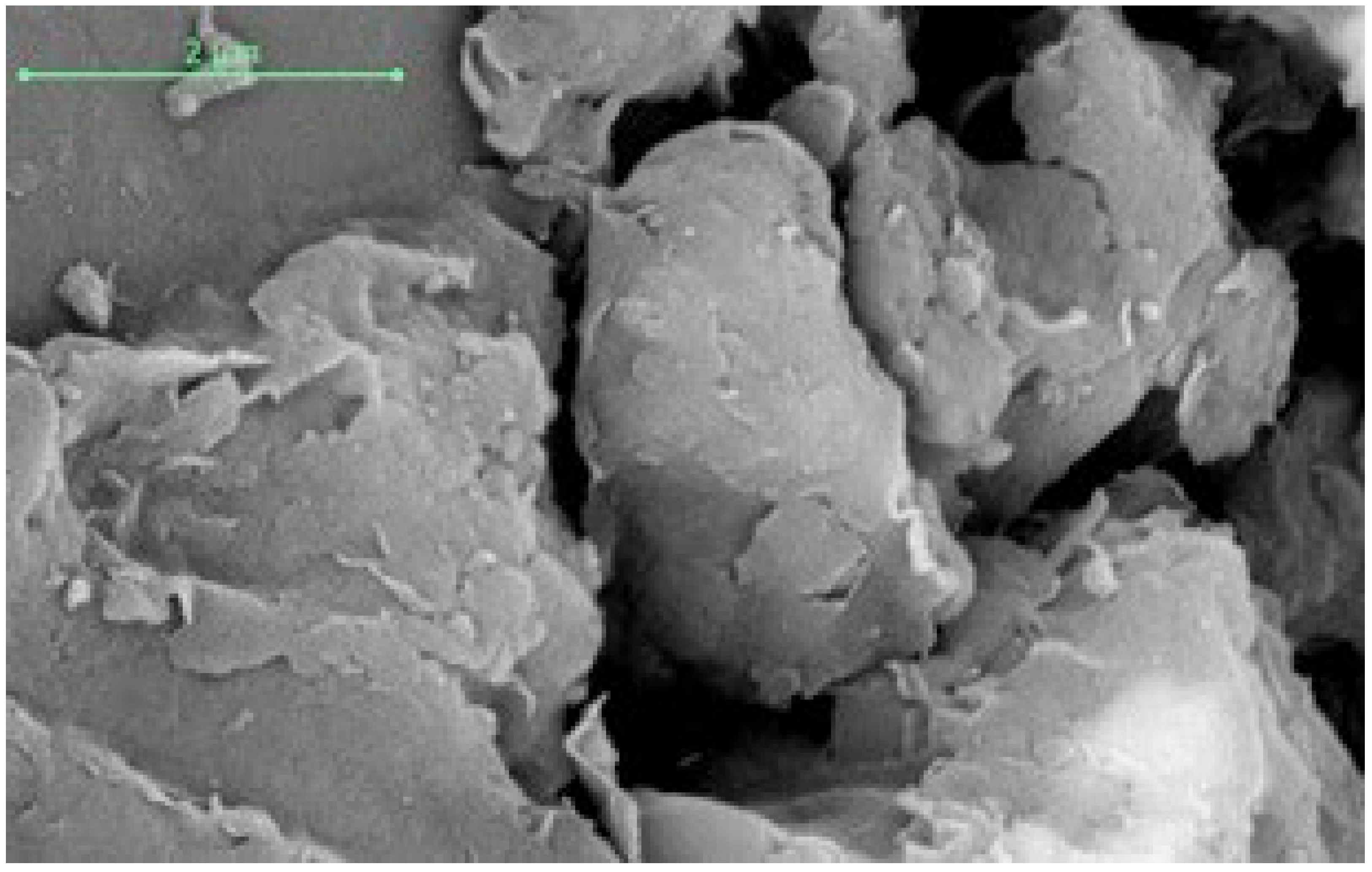 Applsci 13 08948 g002