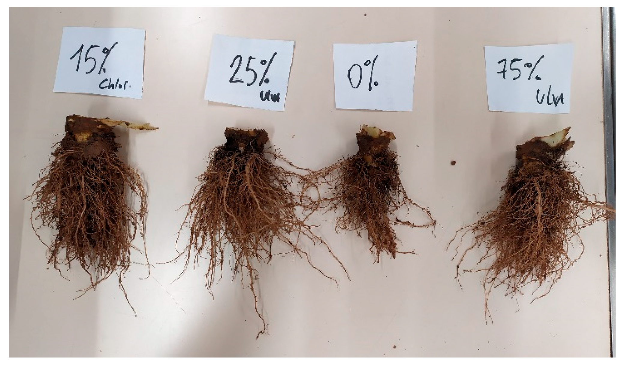 Applsci 13 09046 g002