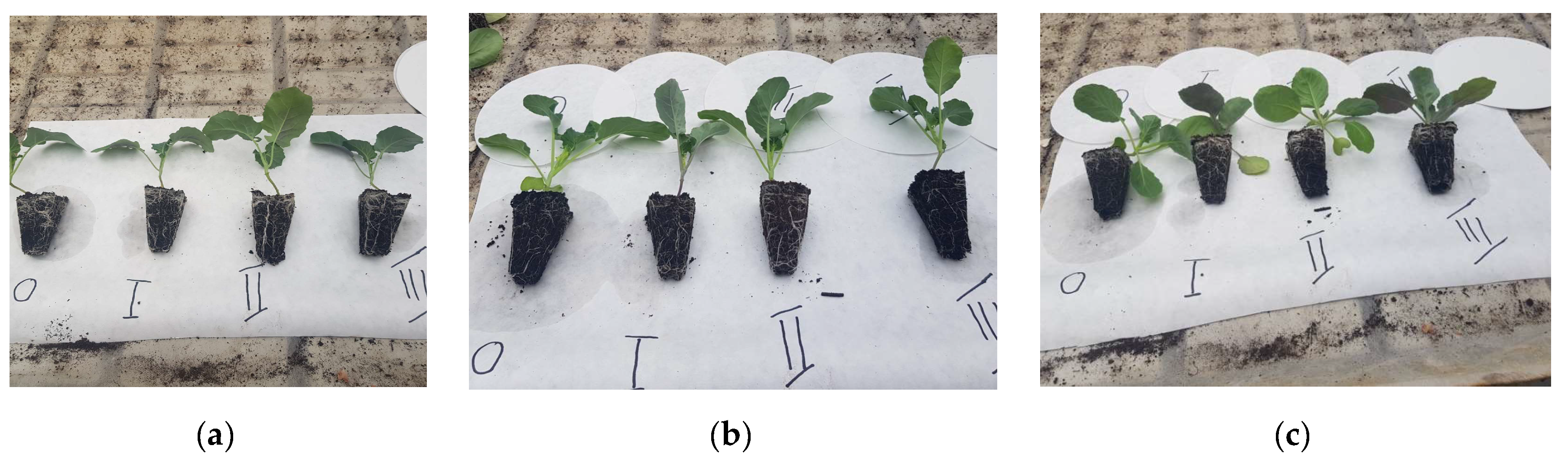 Applsci 13 09124 g003