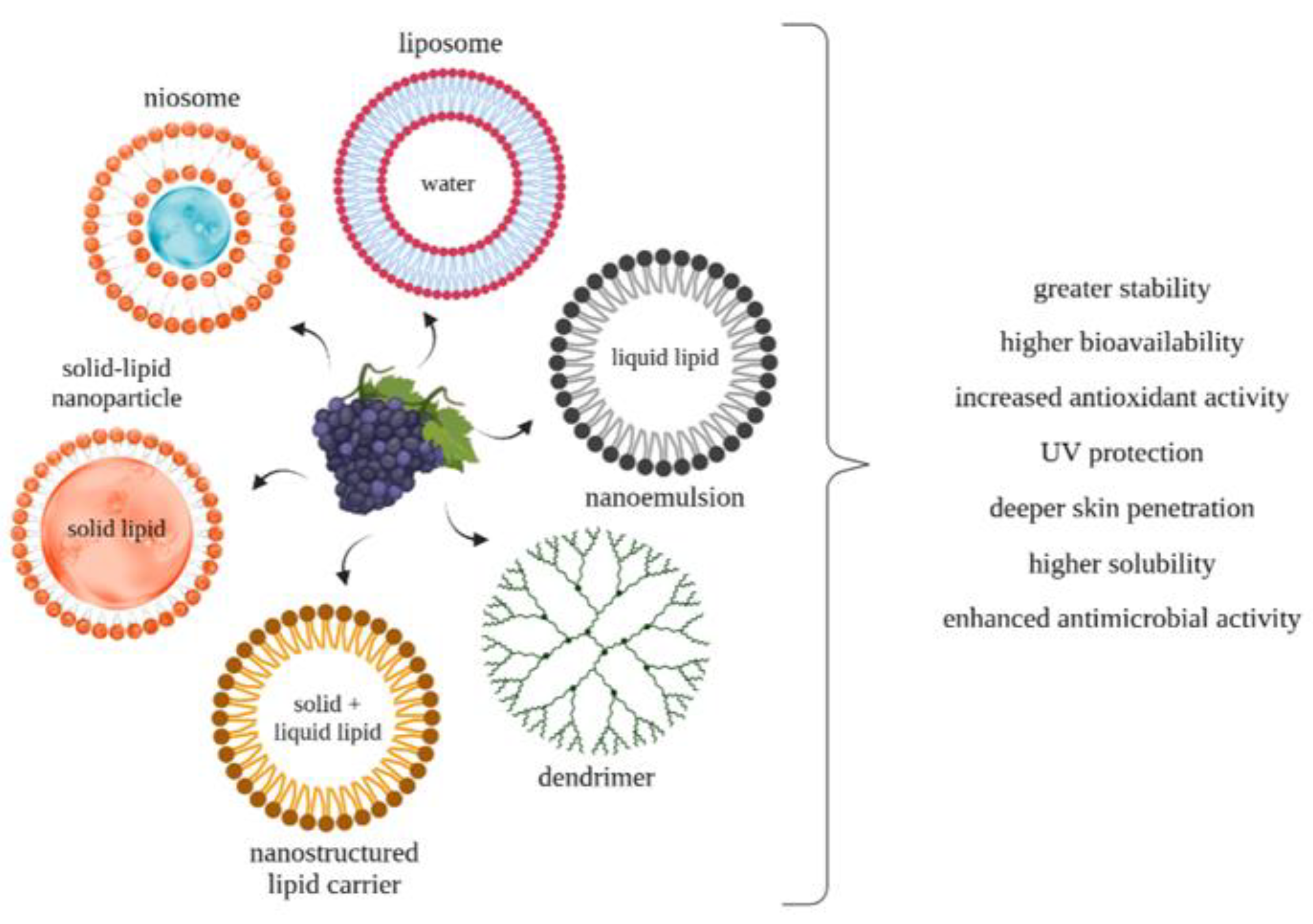 Applsci 13 09168 g003