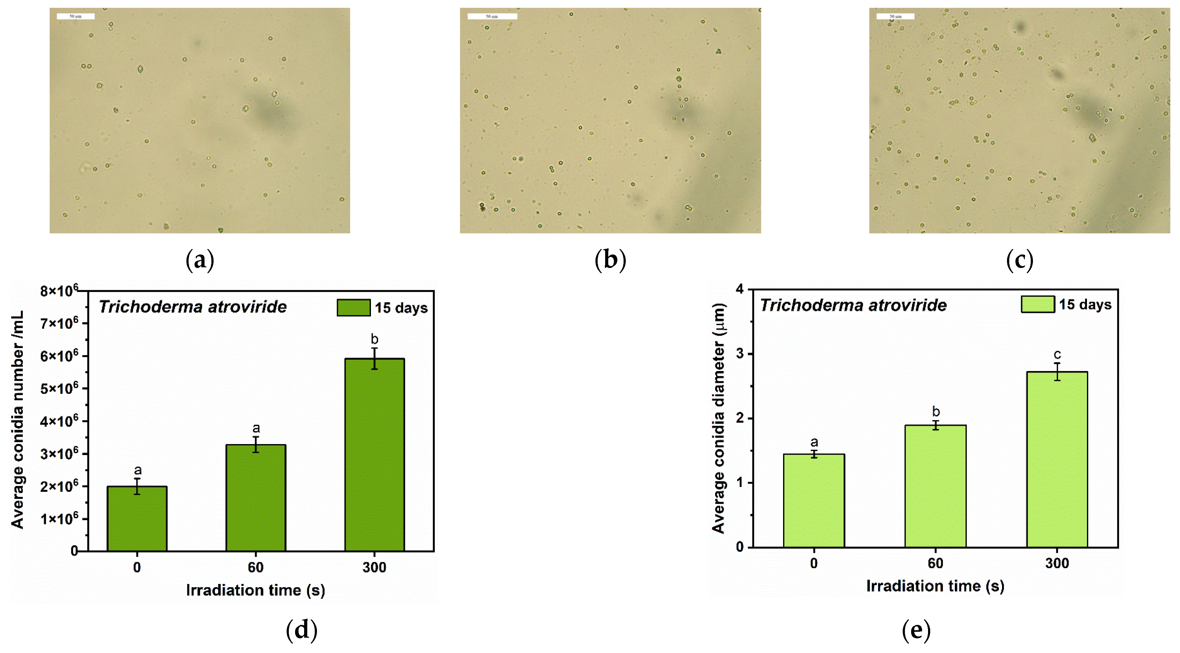 Applsci 13 09191 g007 Applsci 13 09191 g007