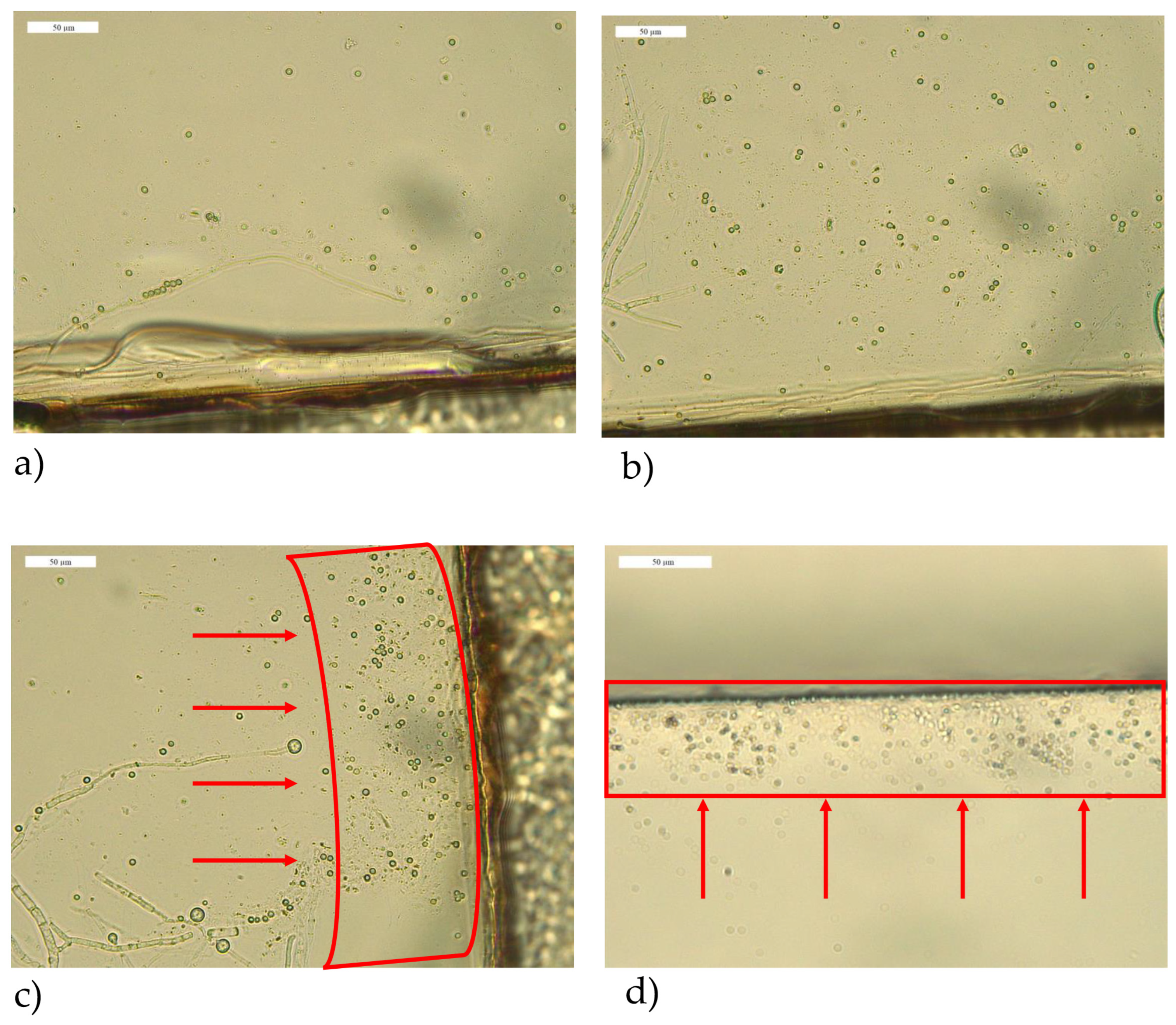 Applsci 13 09191 g008 Applsci 13 09191 g008