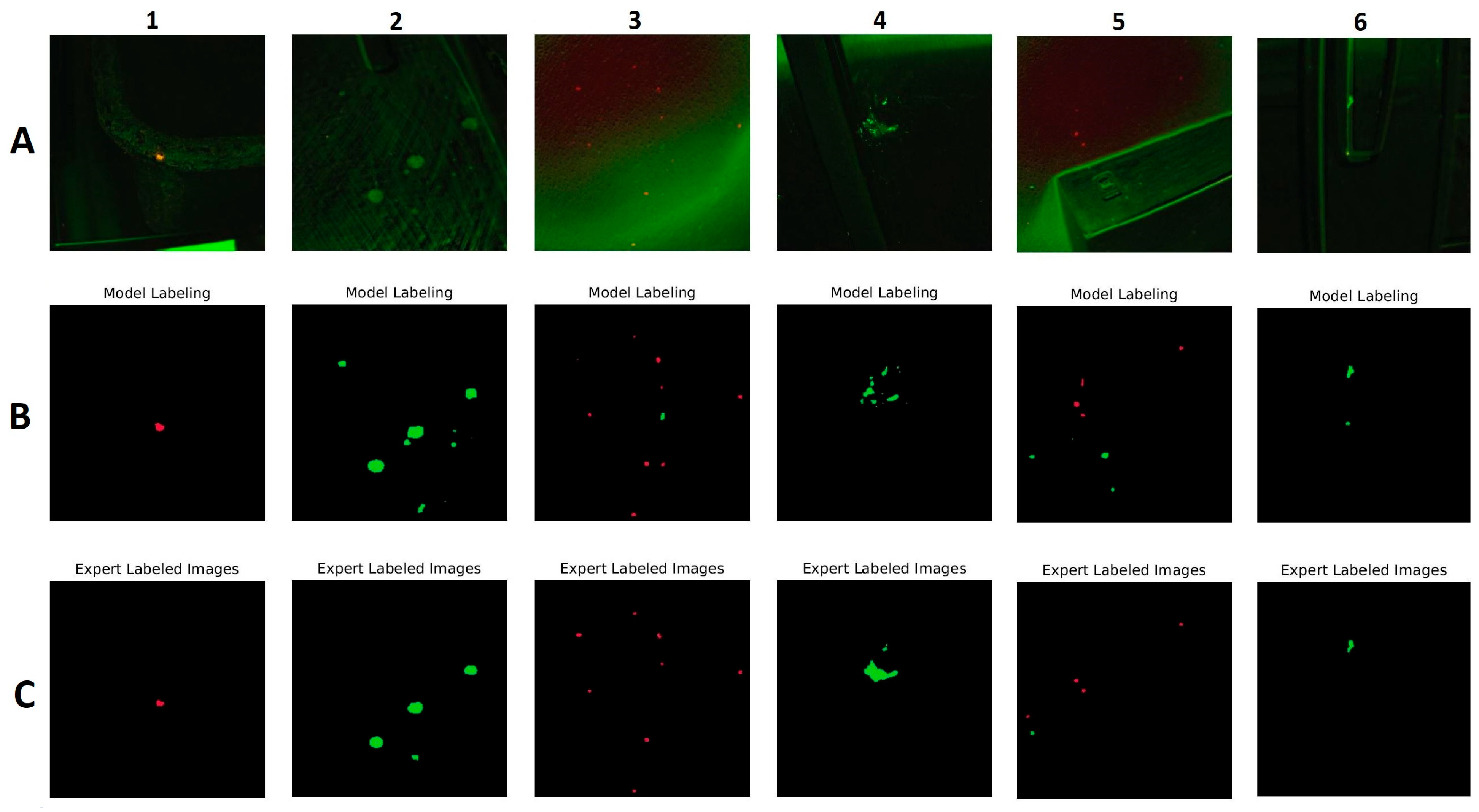 Applsci 13 09330 g006