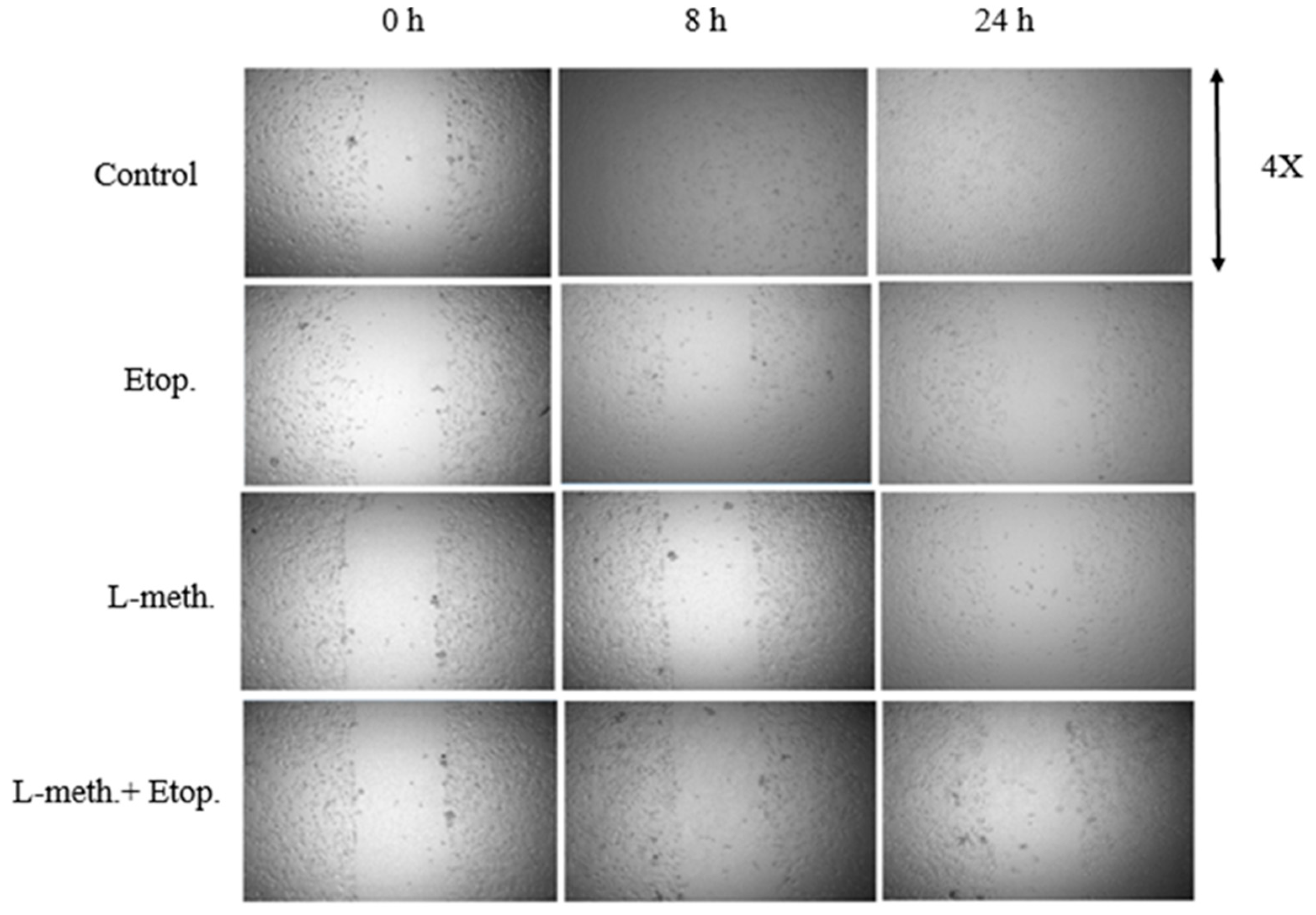 Applsci 13 09382 g008