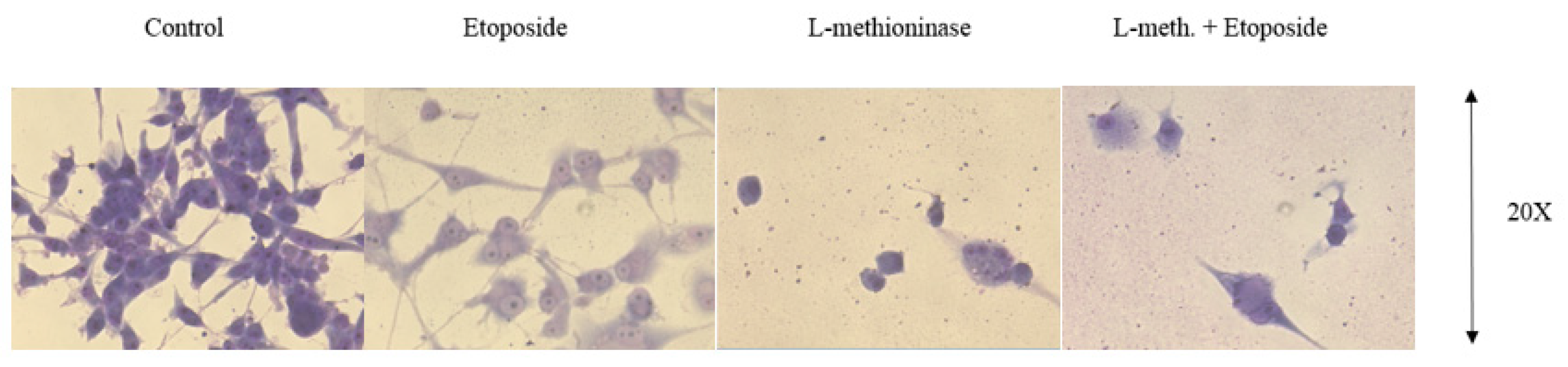 Applsci 13 09382 g015