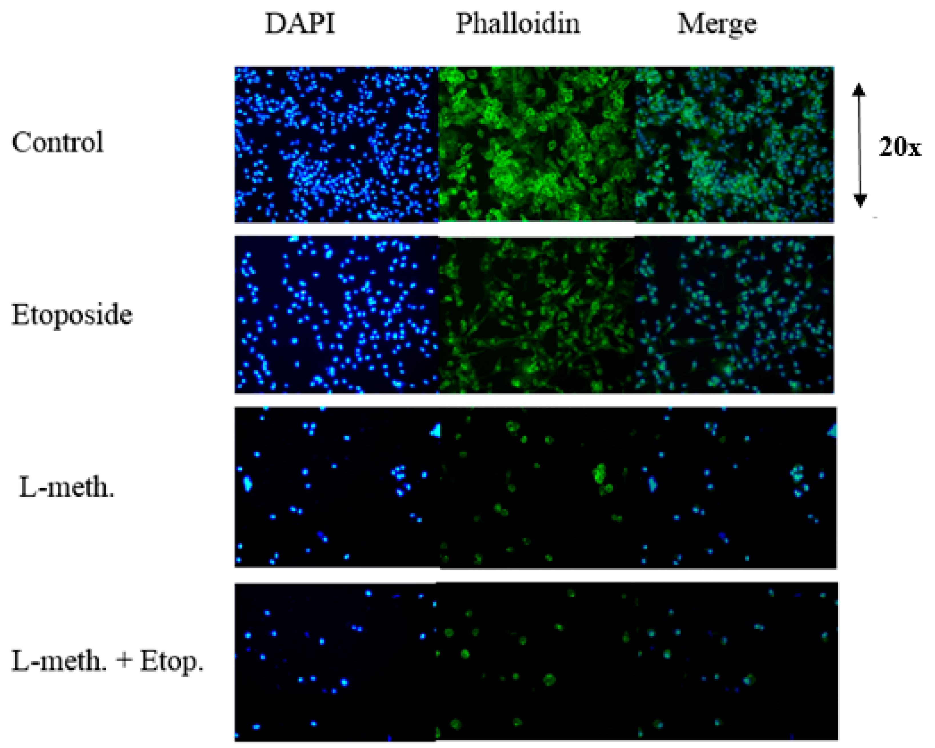 Applsci 13 09382 g019