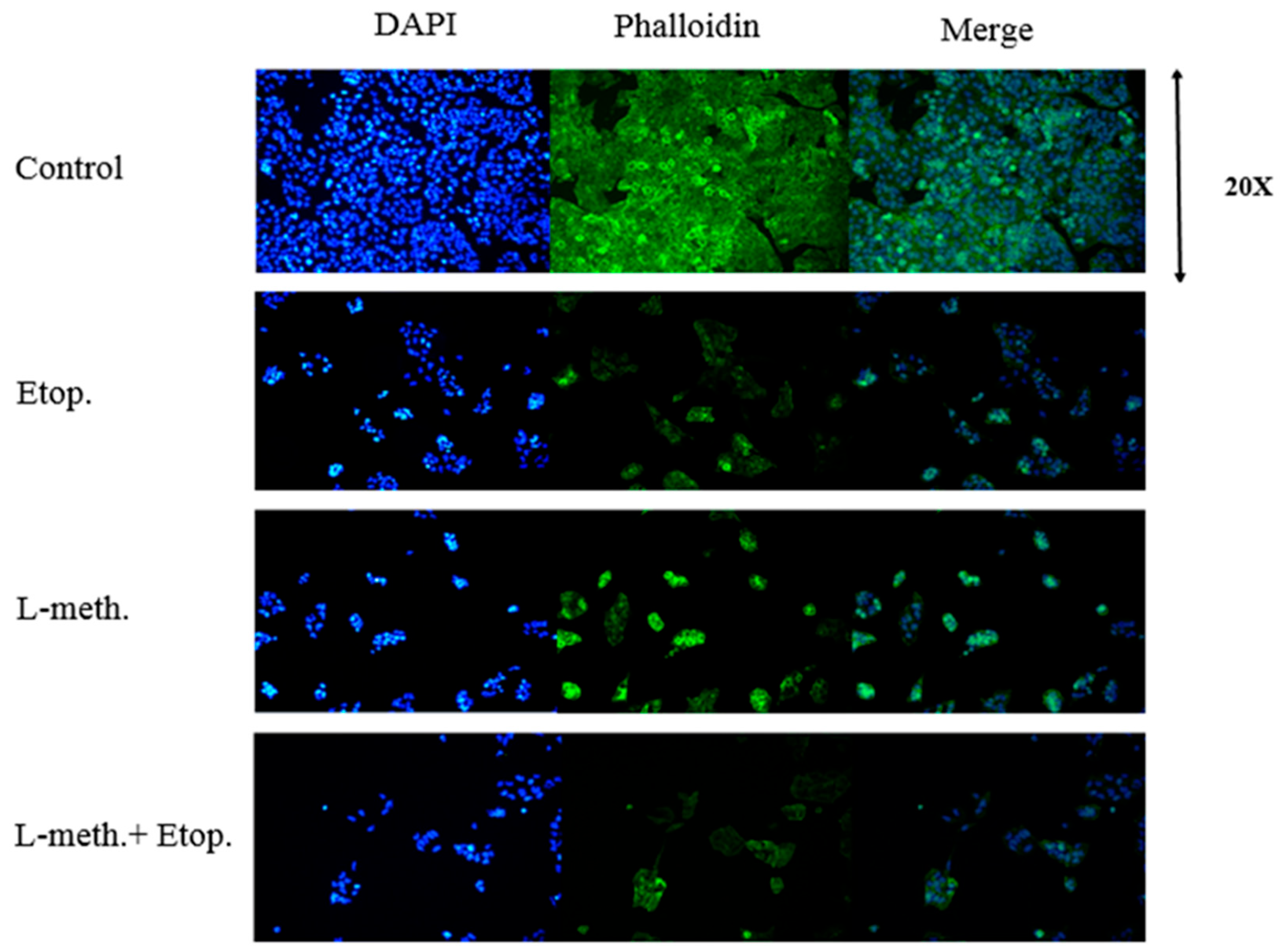 Applsci 13 09382 g020