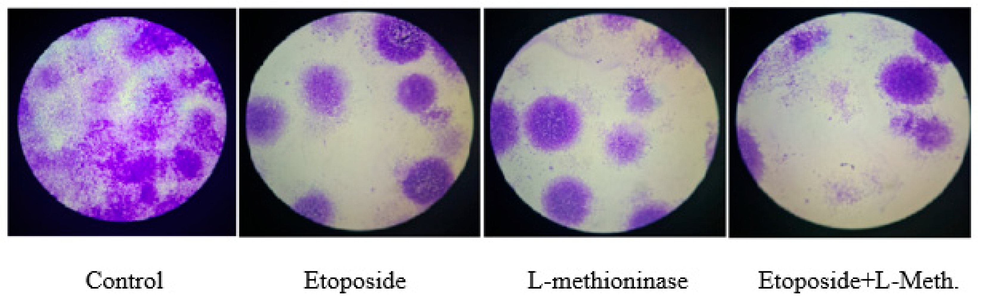 Applsci 13 09382 g021