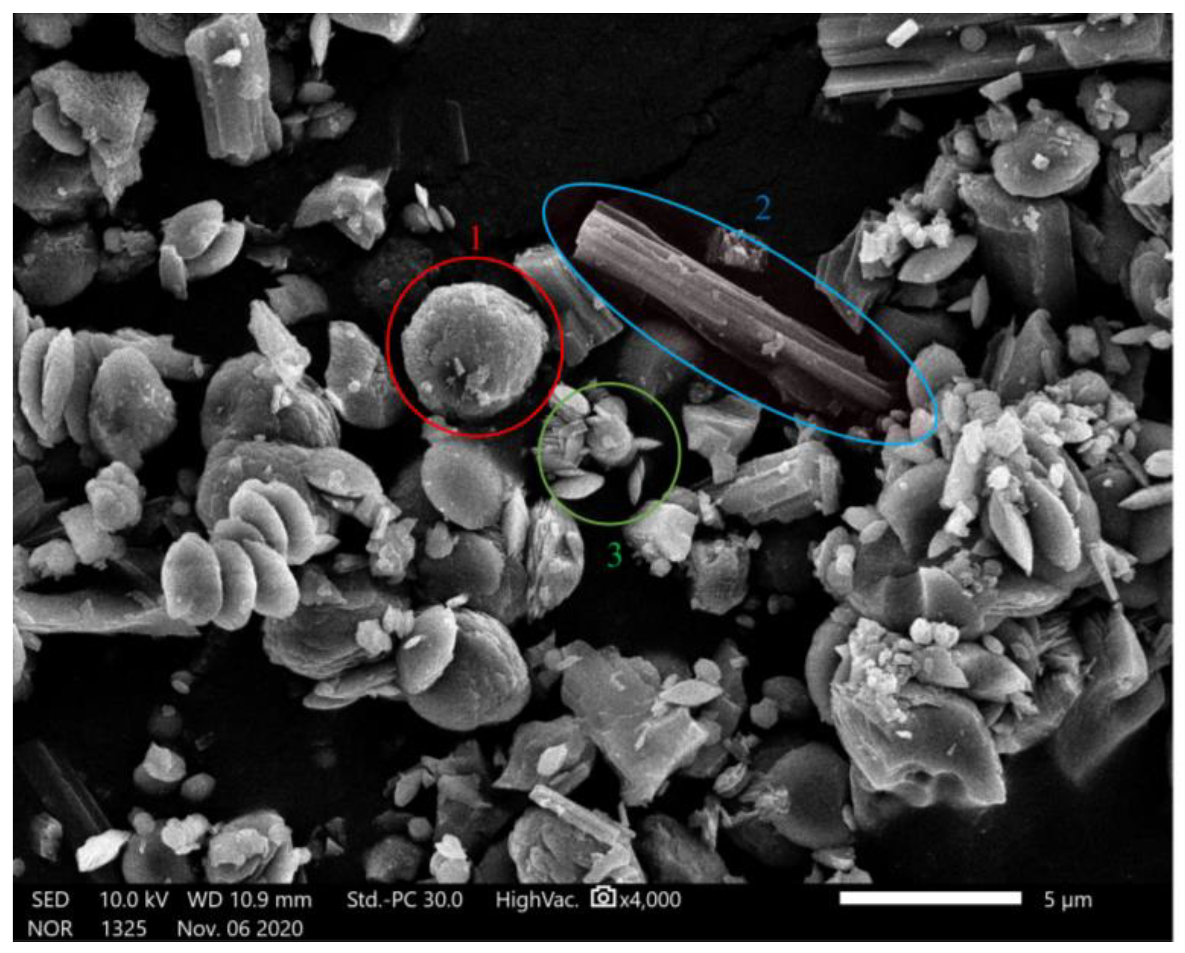 Applsci 13 09403 g004