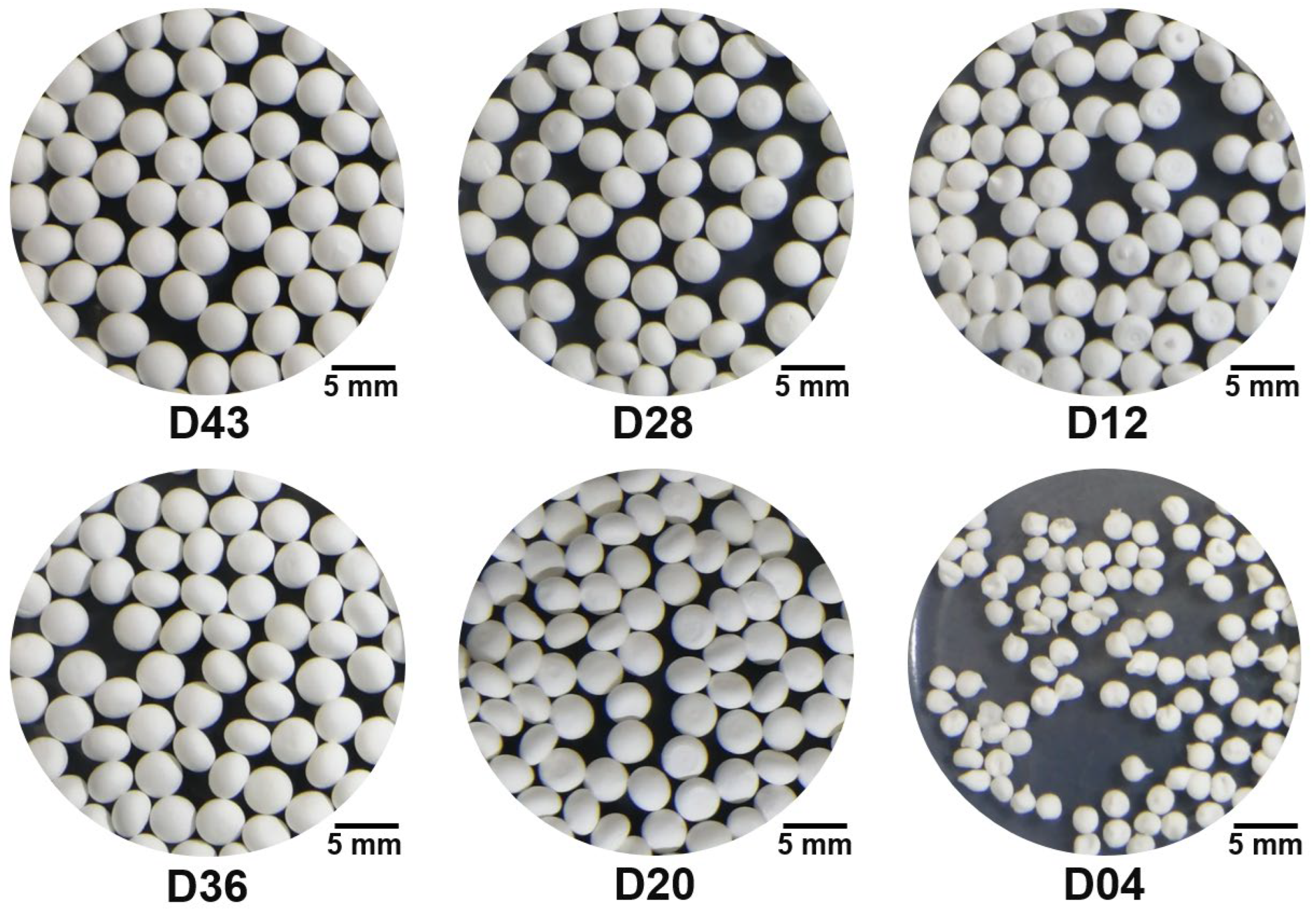 Applsci 13 09474 g005 Applsci 13 09474 g005