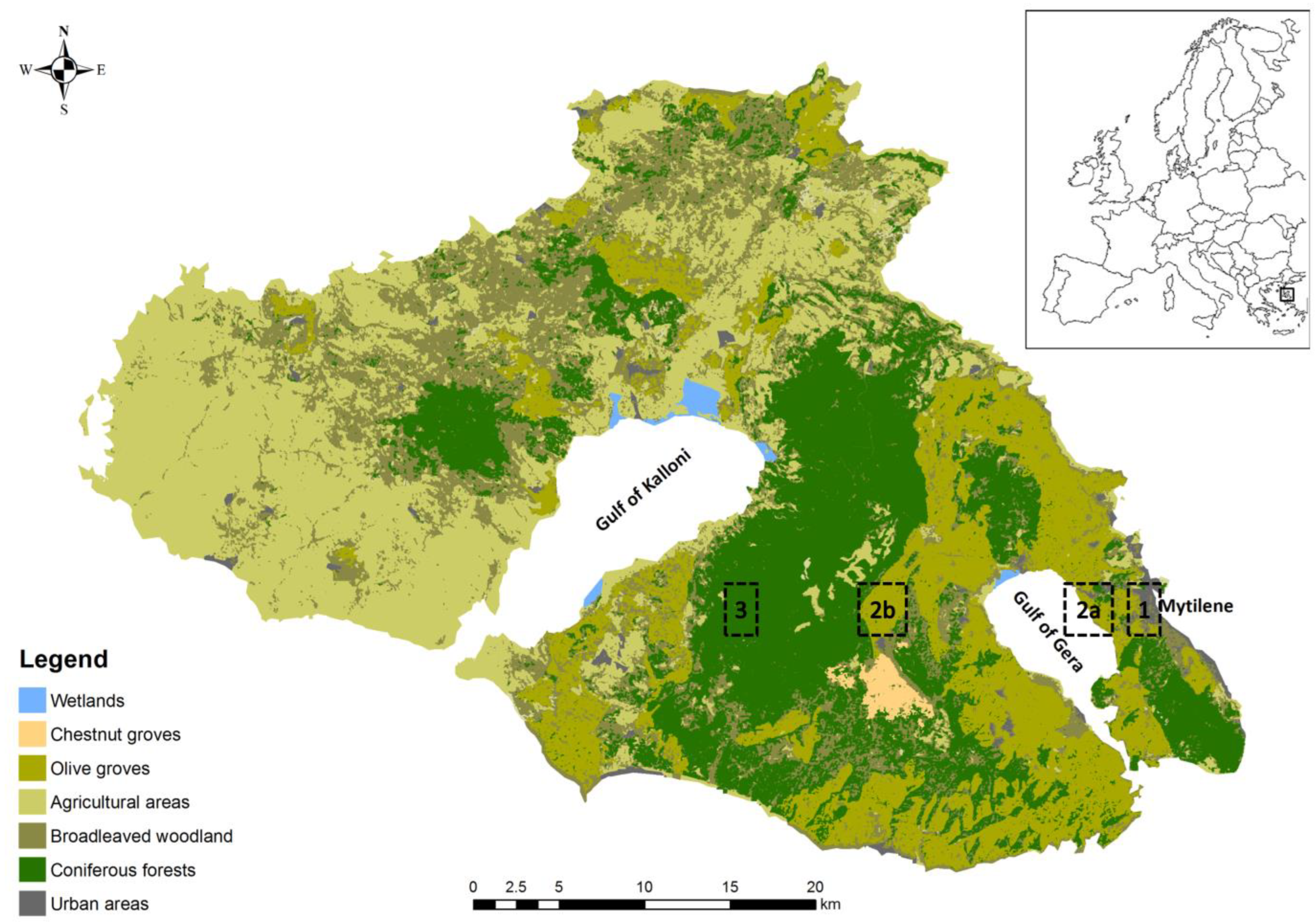 Applsci 13 09493 g001