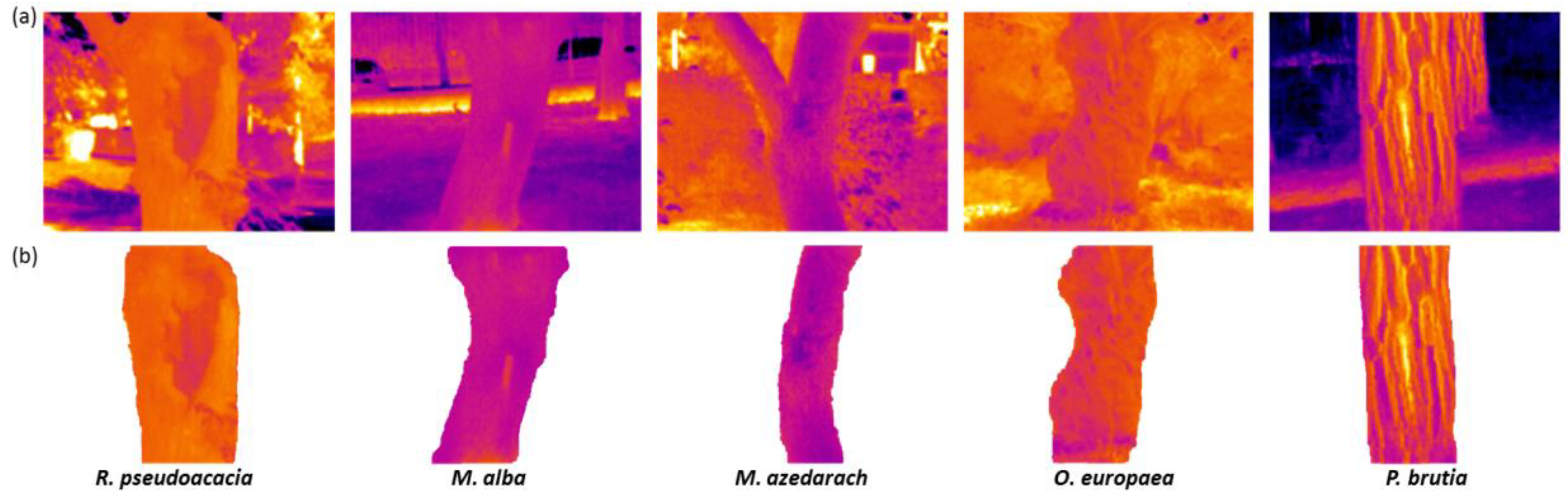 Applsci 13 09493 g002