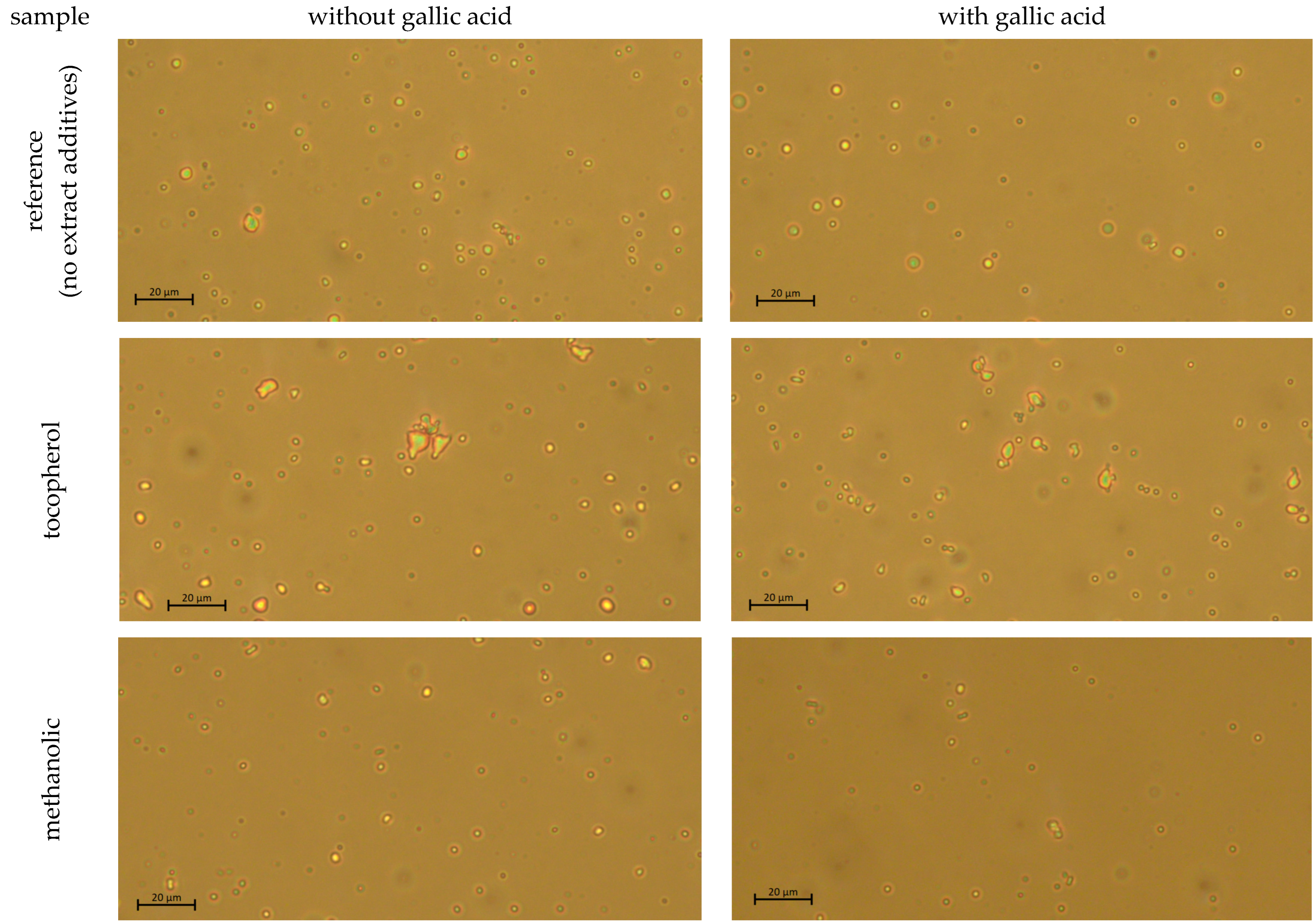 Applsci 13 09560 g002a Applsci 13 09560 g002a