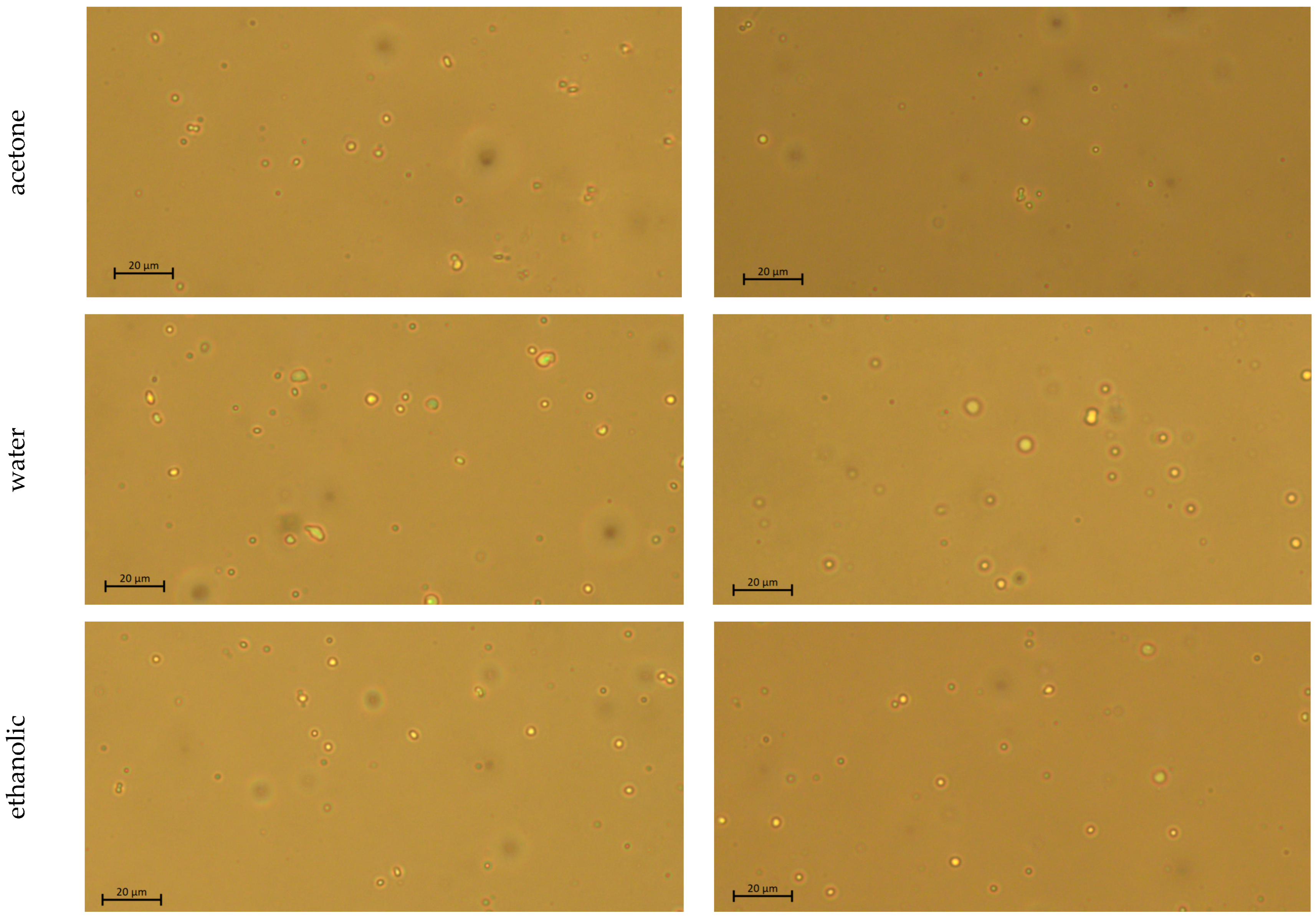 Applsci 13 09560 g002b Applsci 13 09560 g002b