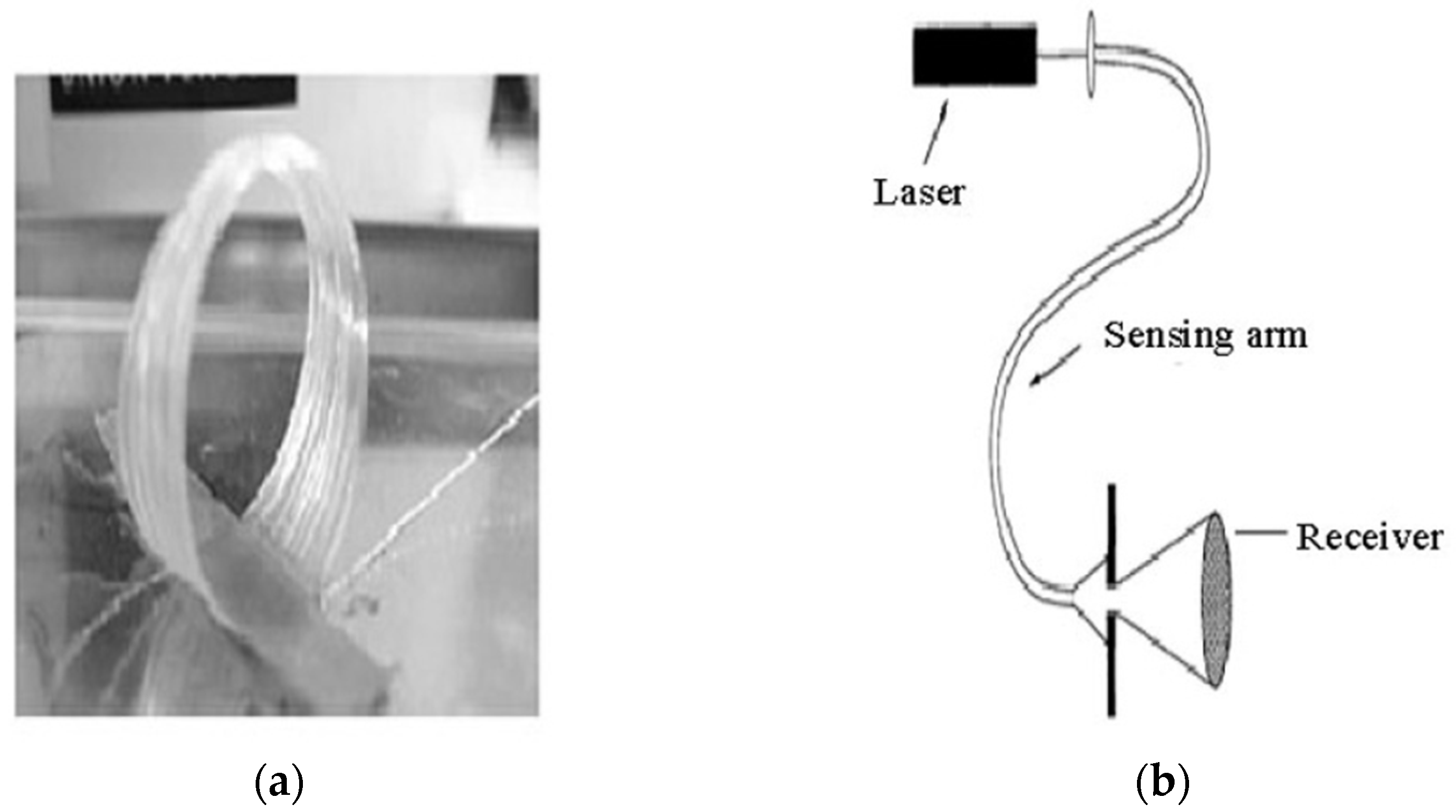 Applsci 13 09605 g010 Applsci 13 09605 g010