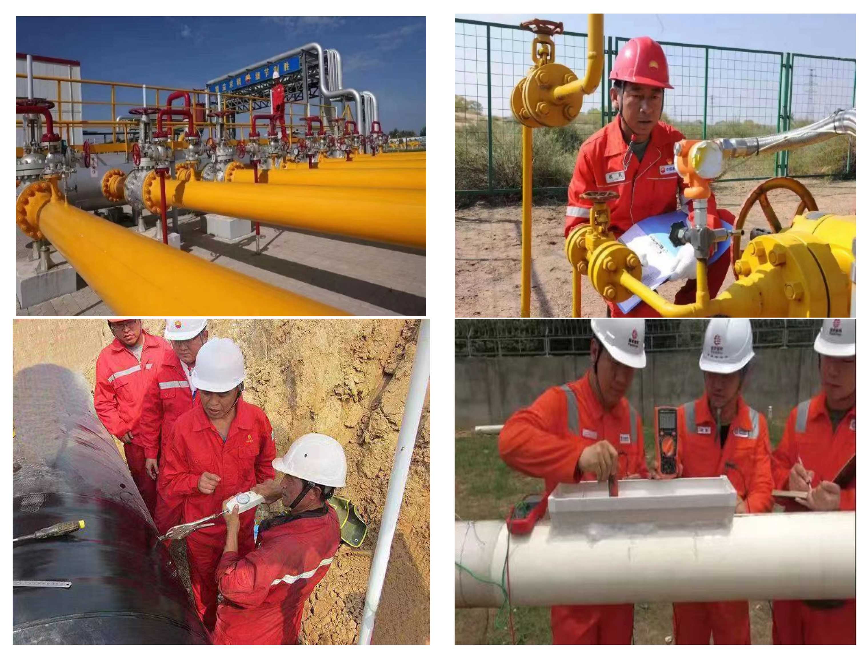 Applsci 13 09670 g006