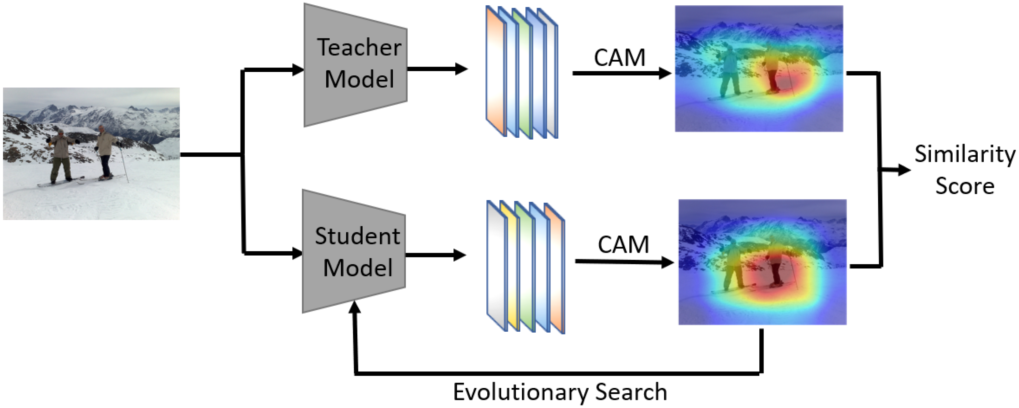 Applied Sciences | Free Full-Text | CAM-NAS: An Efficient and Interpretable  Neural Architecture Search Model Based on Class Activation Mapping