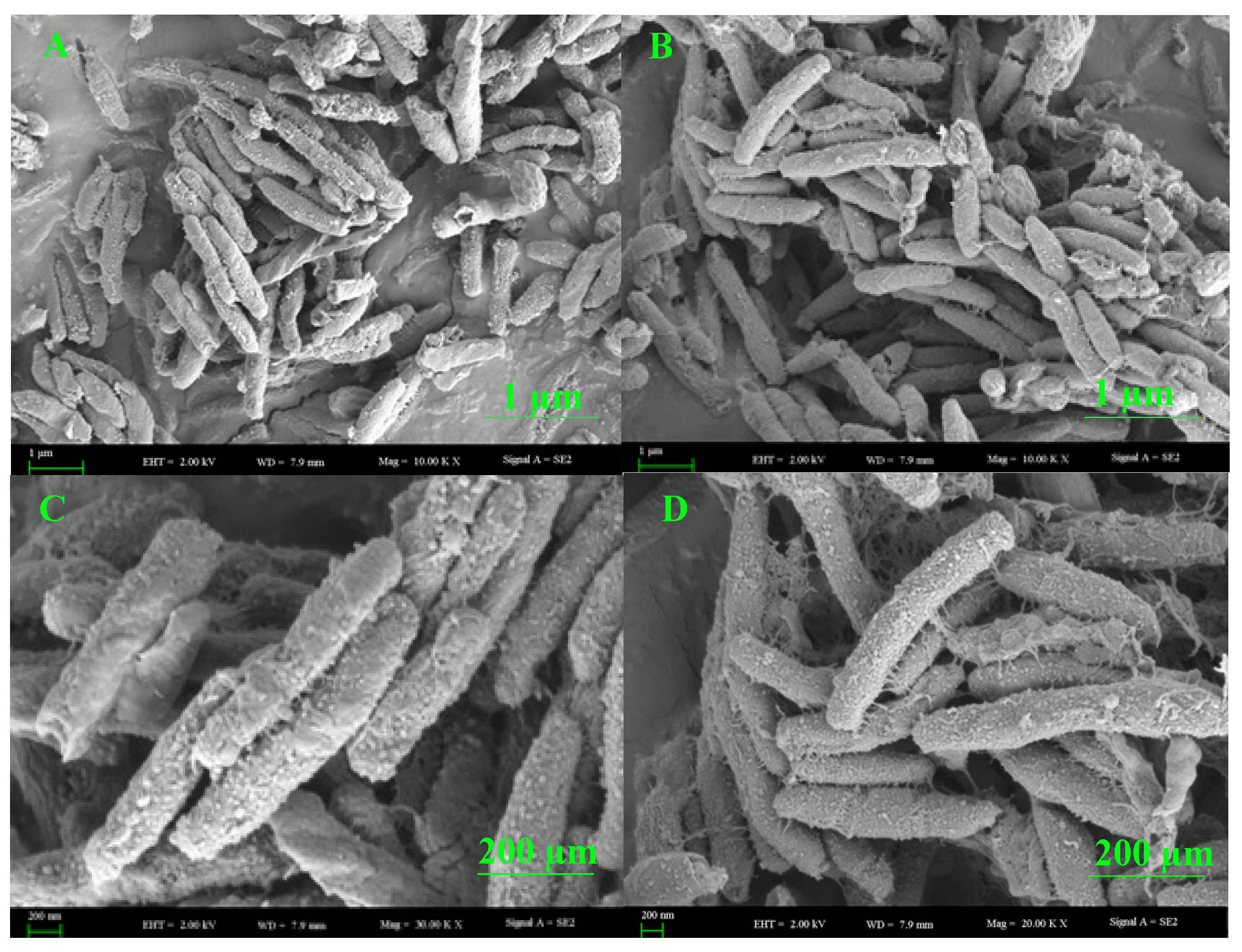 Applsci 13 09797 g006