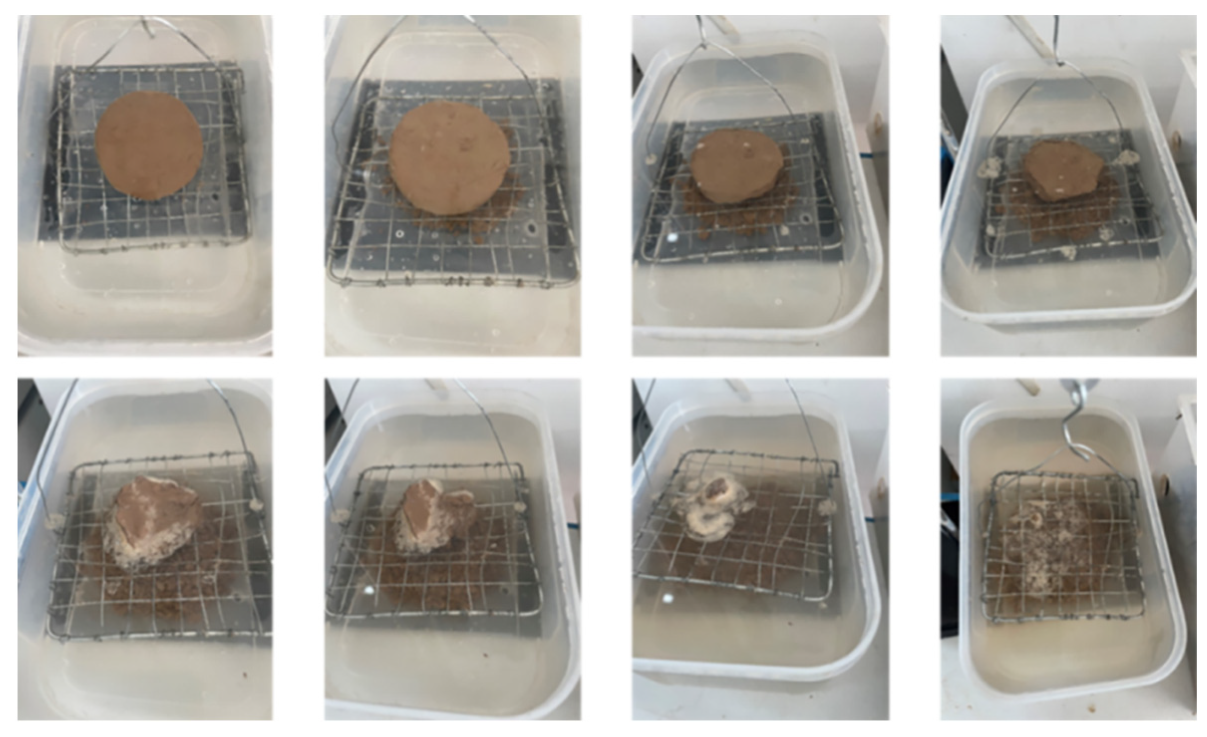 Applsci 13 09819 g010