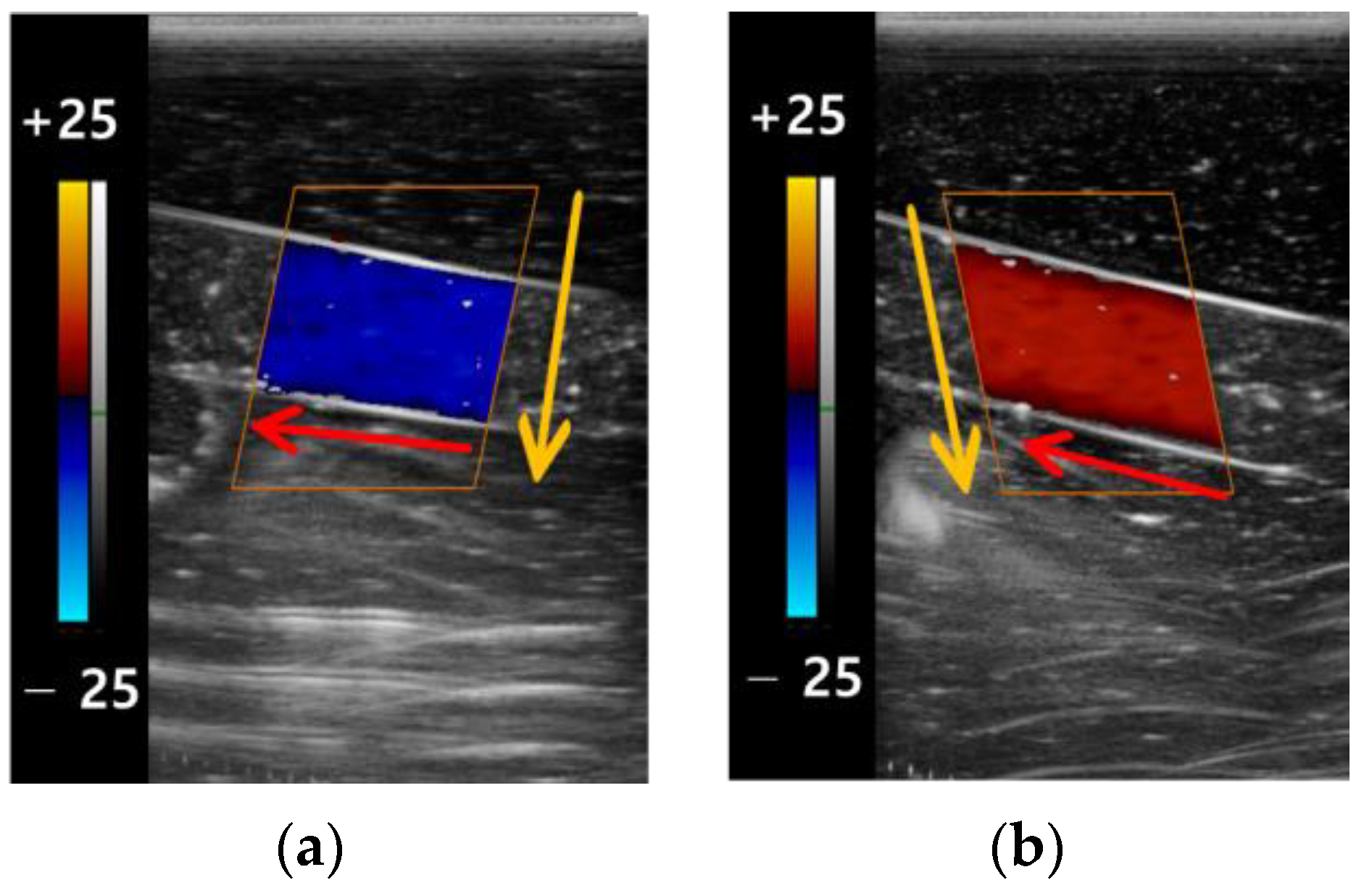 Applsci 13 09932 g004