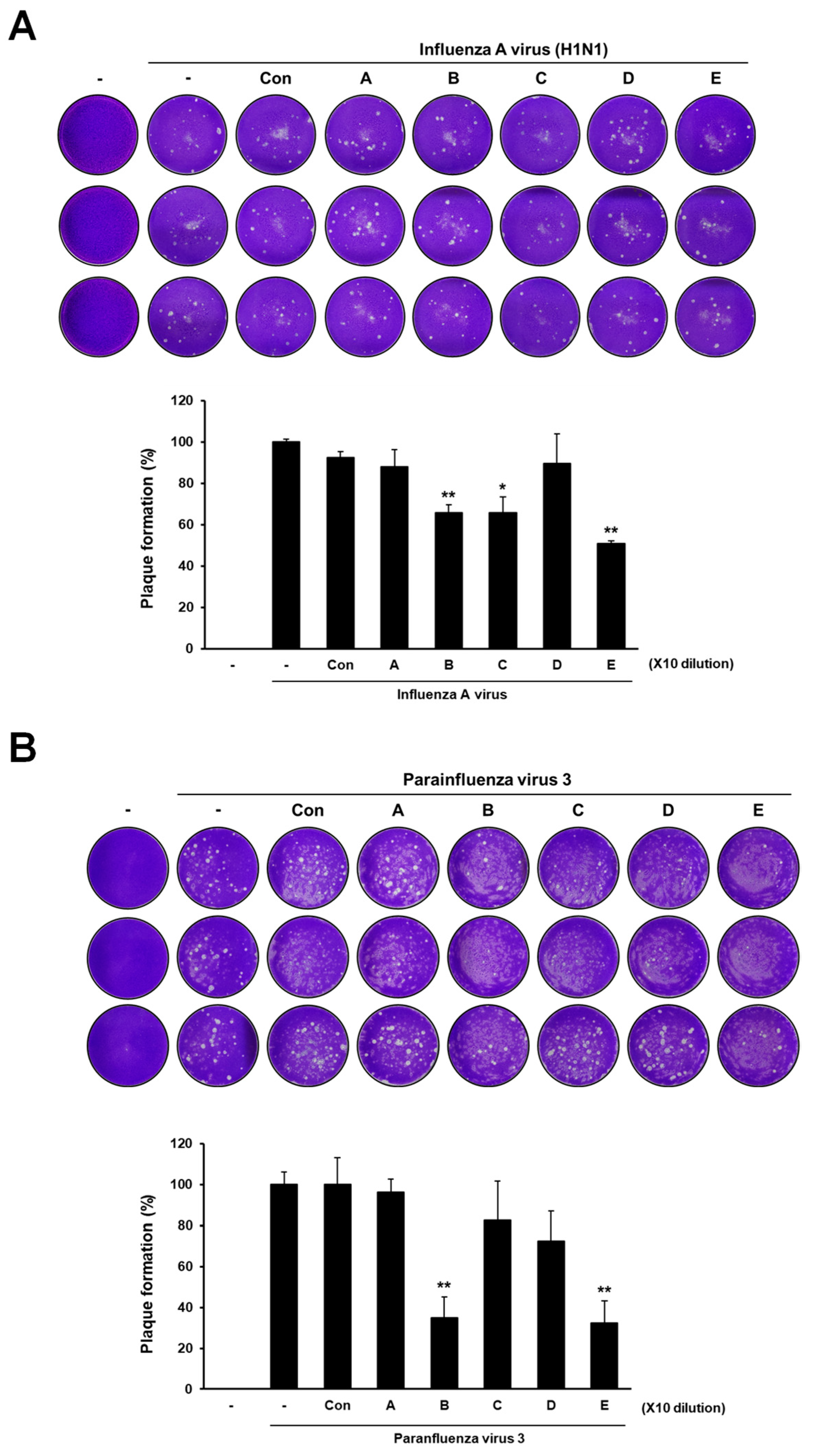 Applsci 13 09938 g003