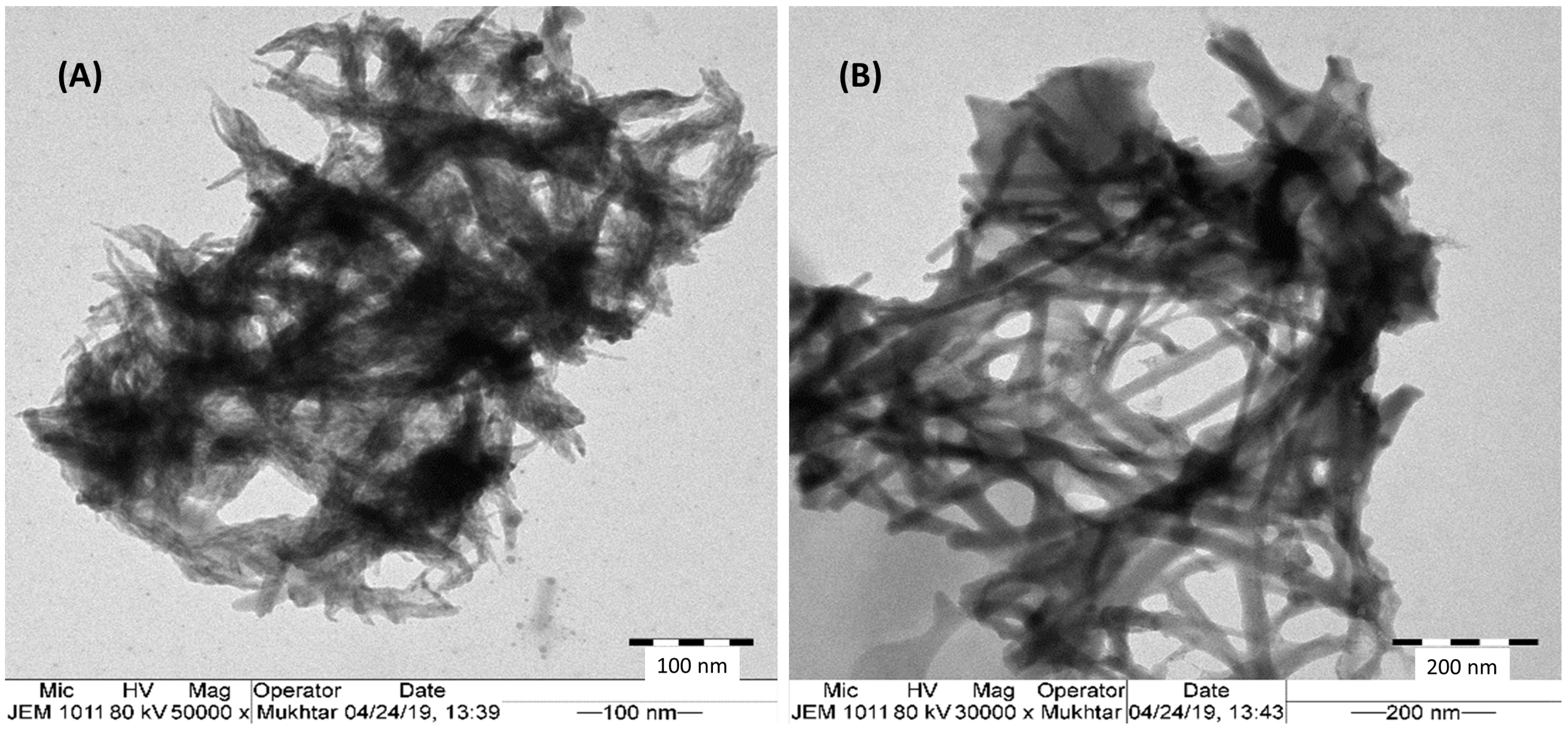 Applsci 13 10036 g002